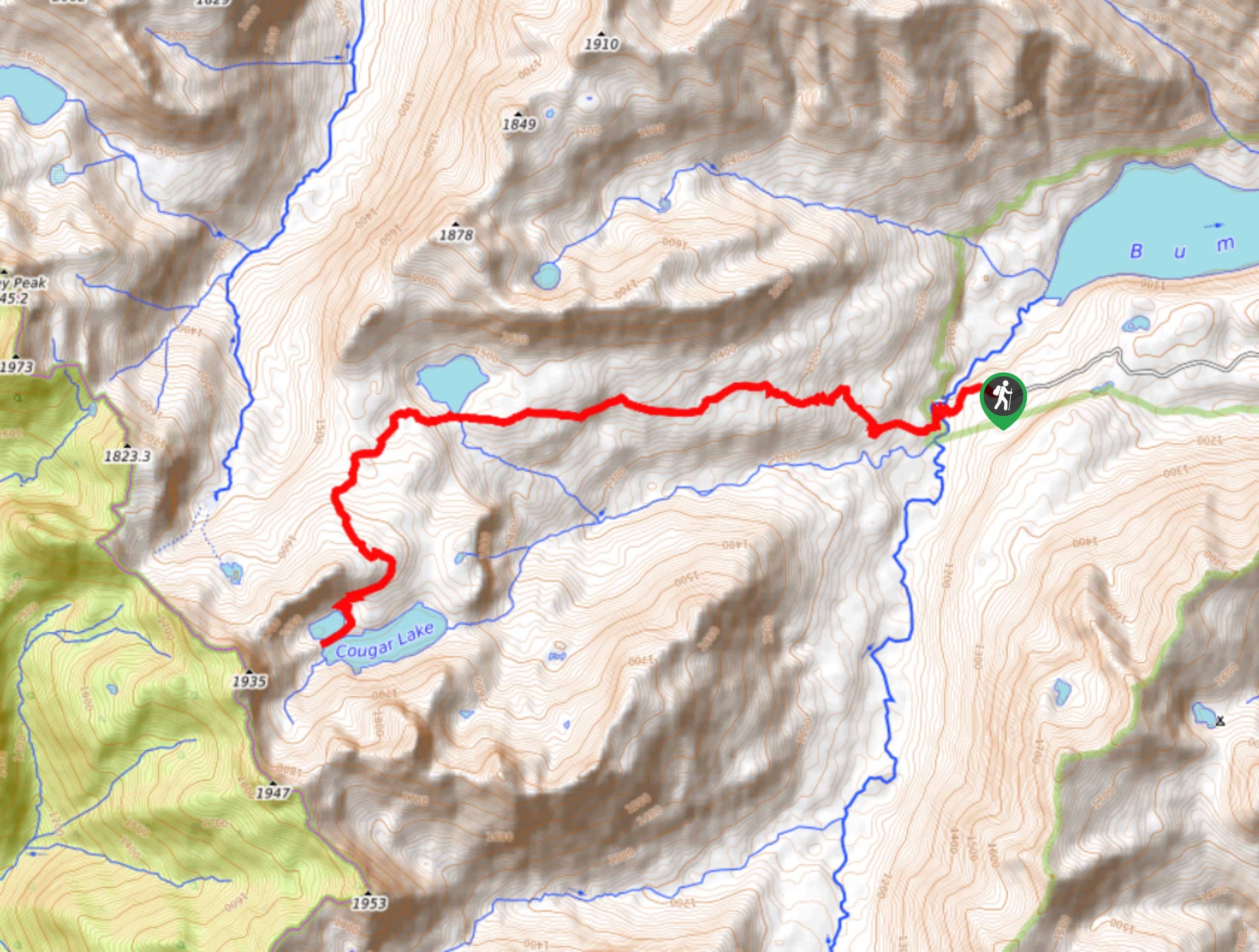 Cougar Lake and Little Cougar Lake Trail Map
