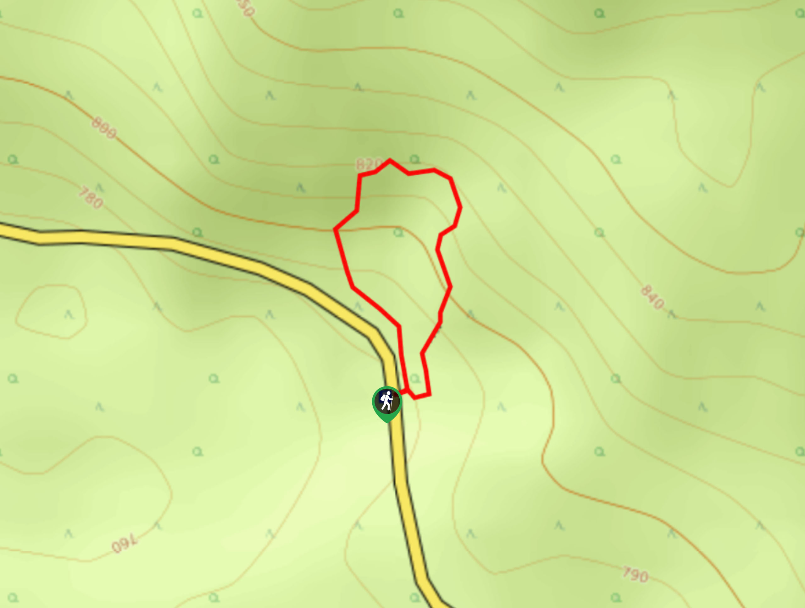 Twin Firs Loop Trail Map