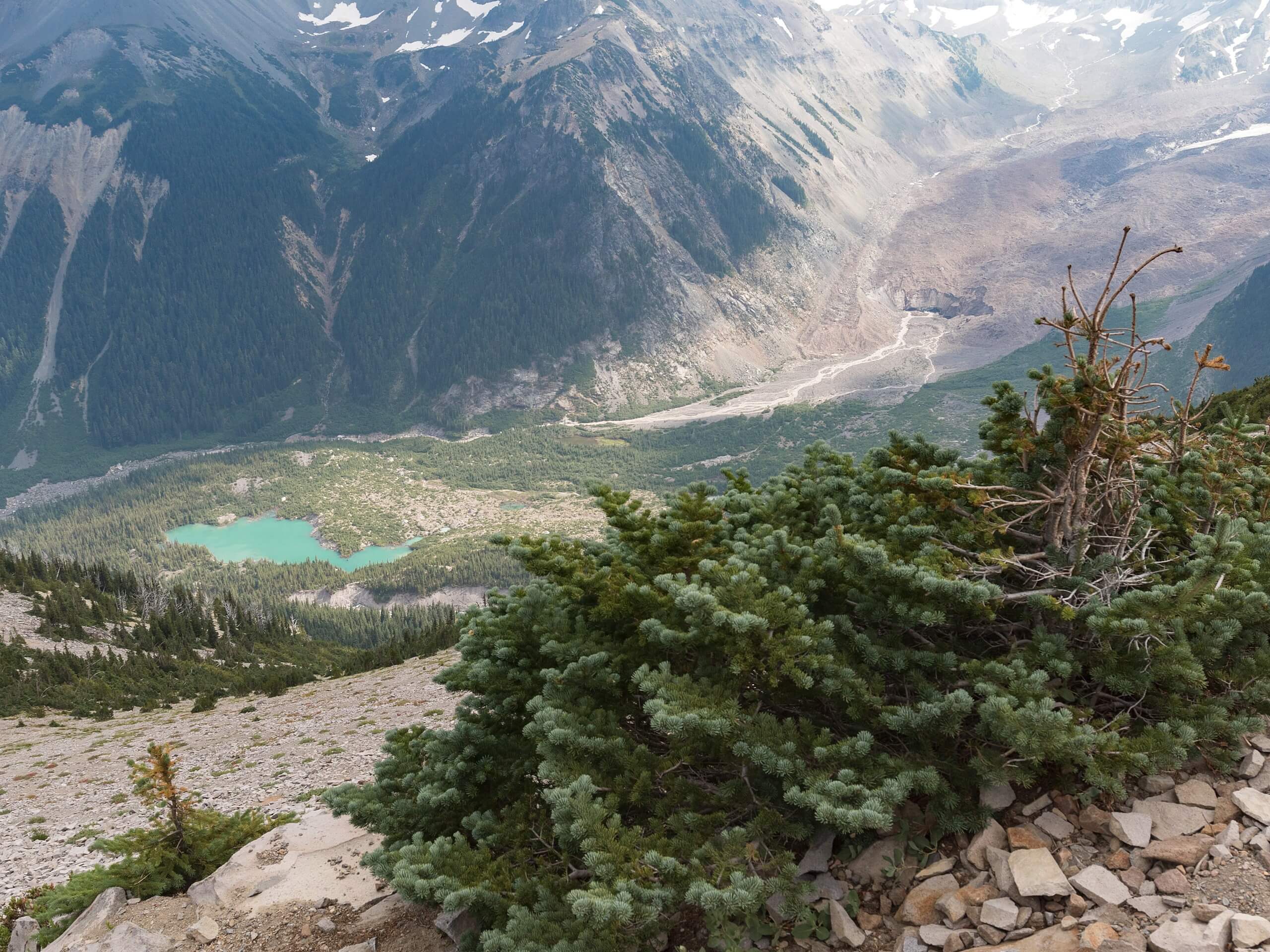 Mount Ruth via Glacier Basin and Emmons Moraine Trails
