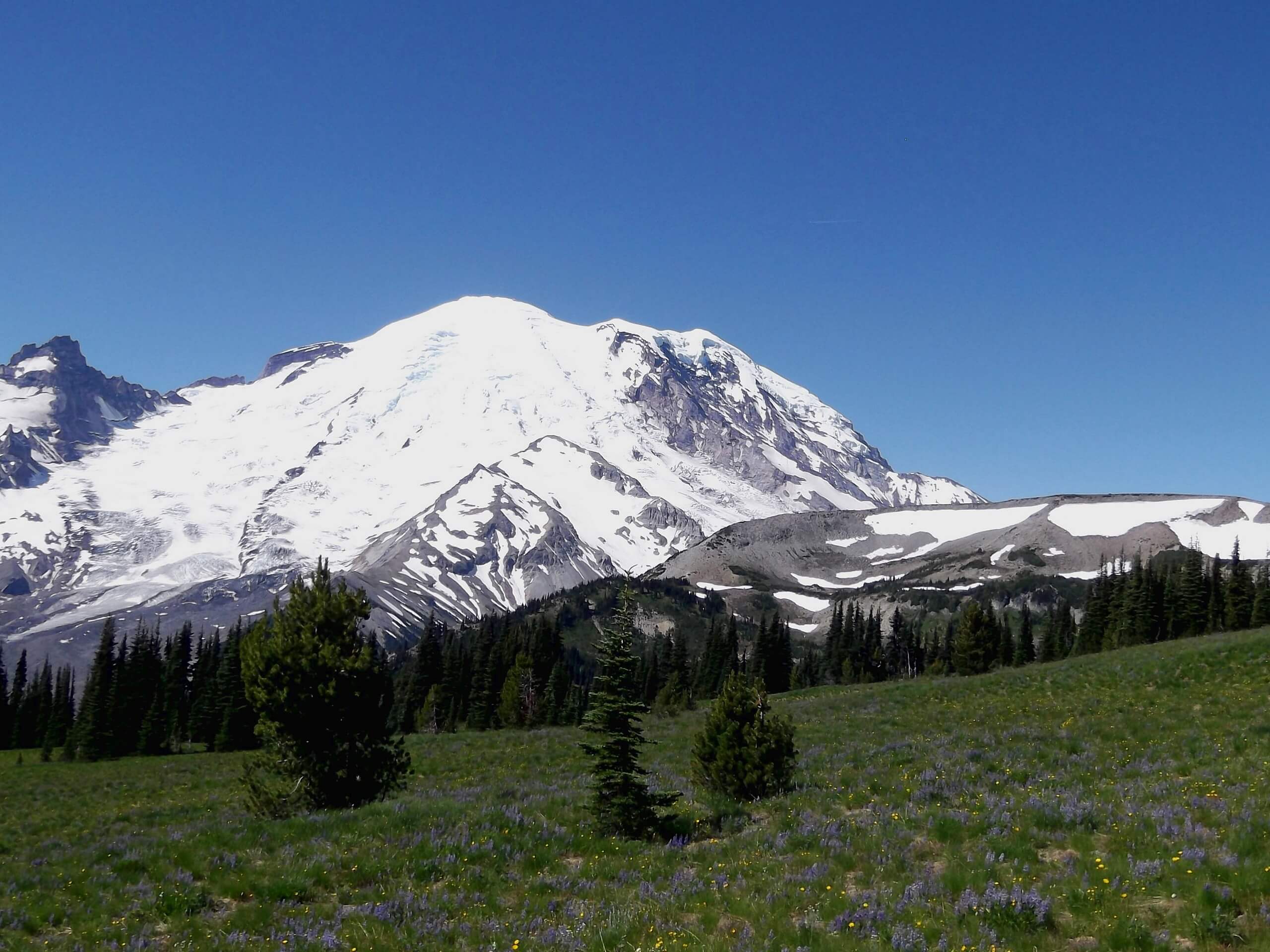 Skyscraper Pass and Burroughs Mountain via Wonderland Trail