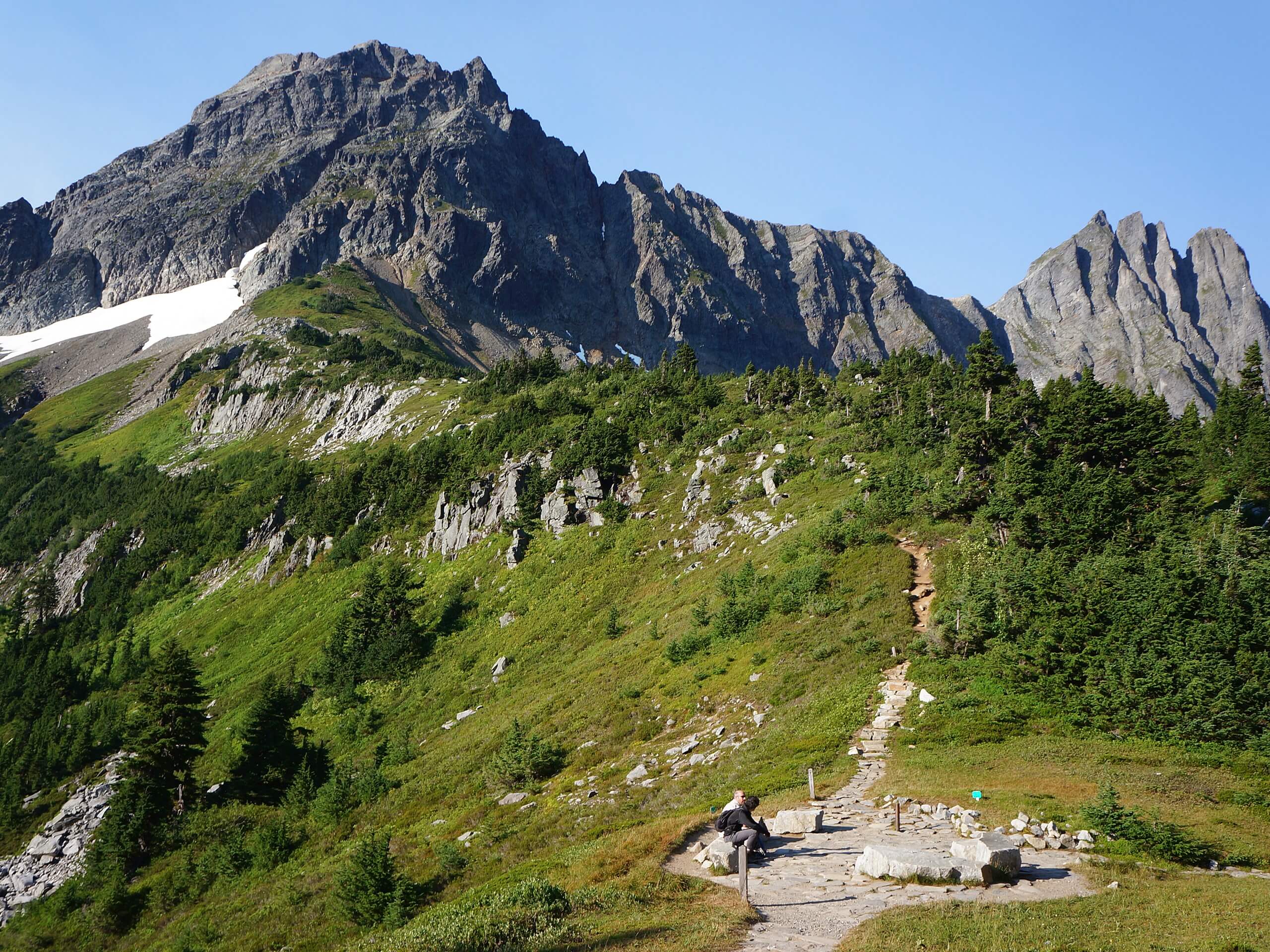 Cascade Pass Trail to Cottonwood Camp