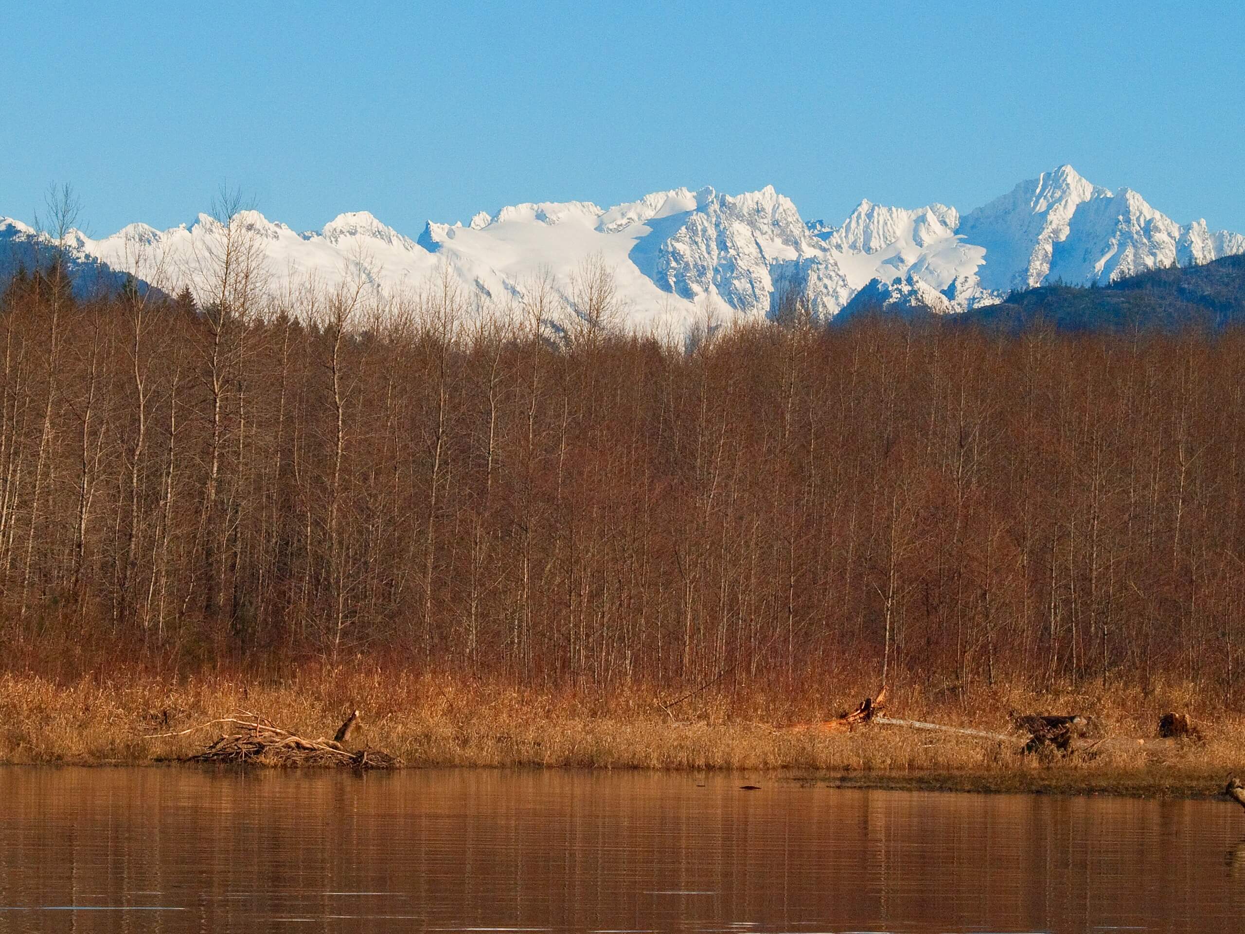 Skagit River Loop Trail