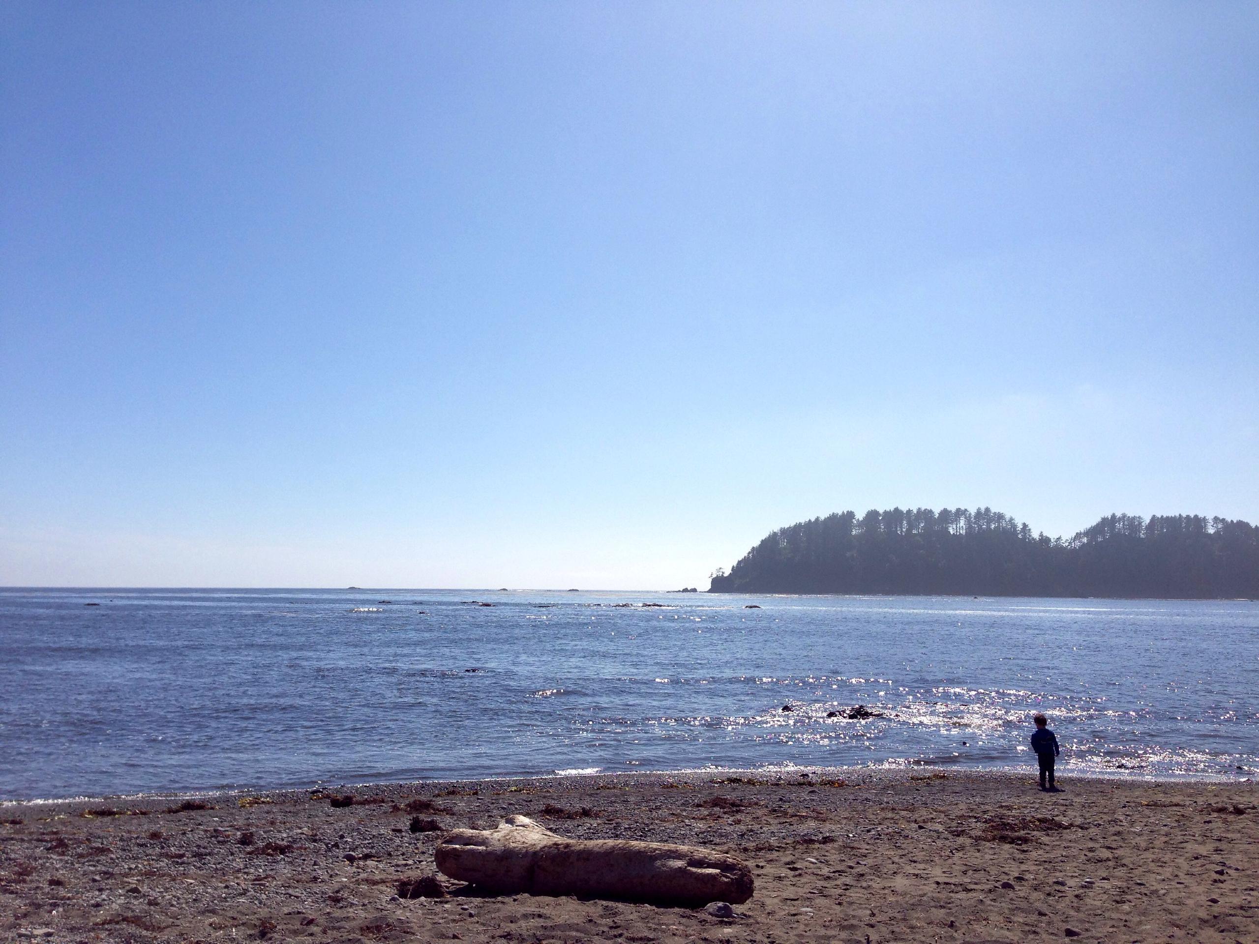 Cape Alava Trail