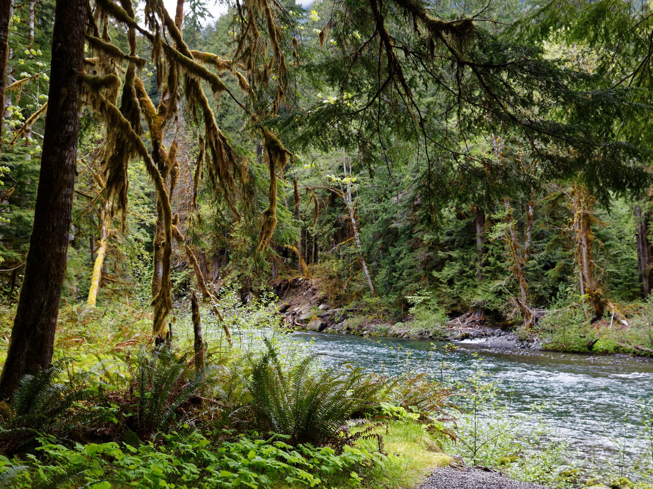 Staircase Rapids Loop