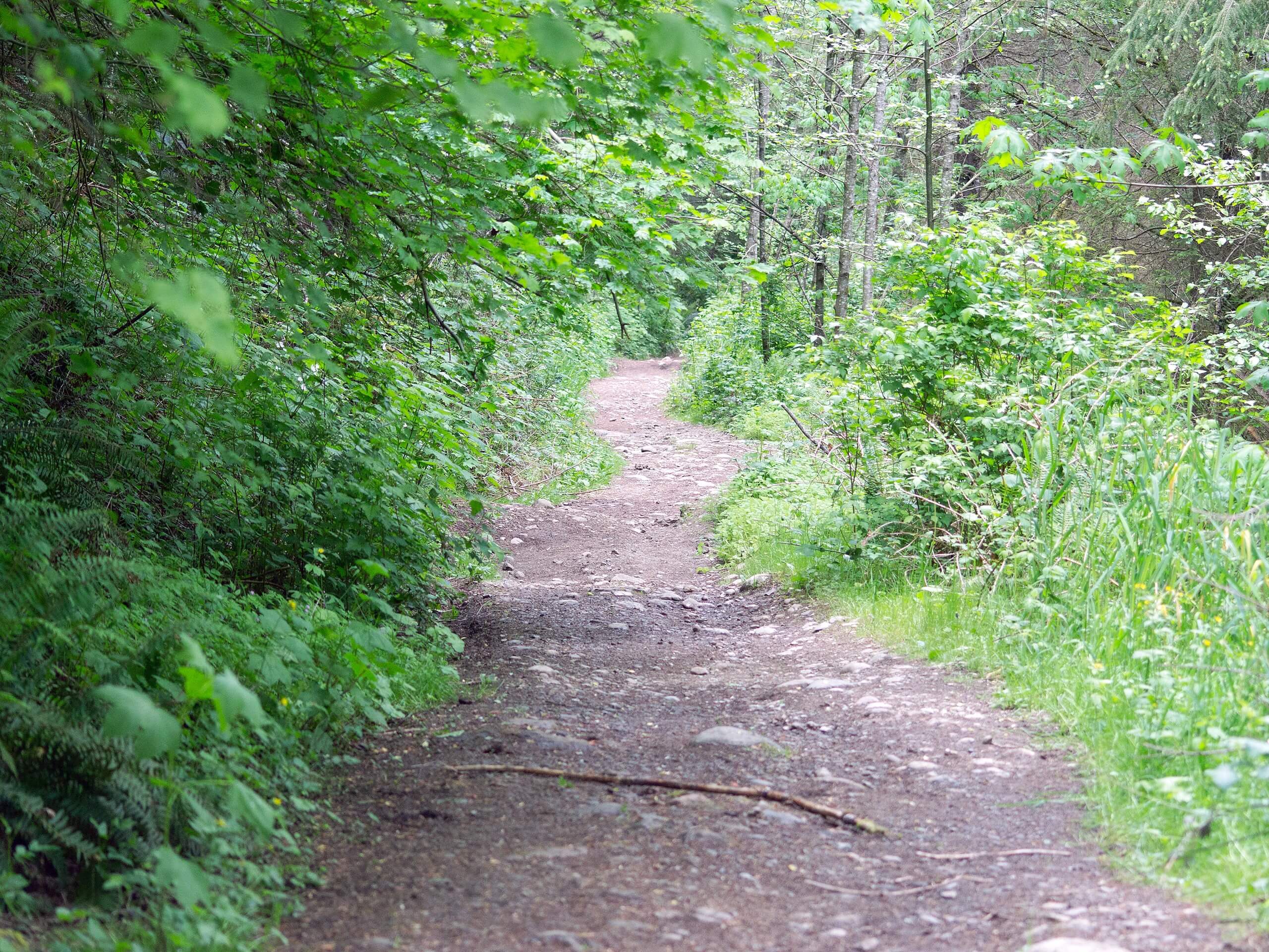 Cherry Creek Falls Trail