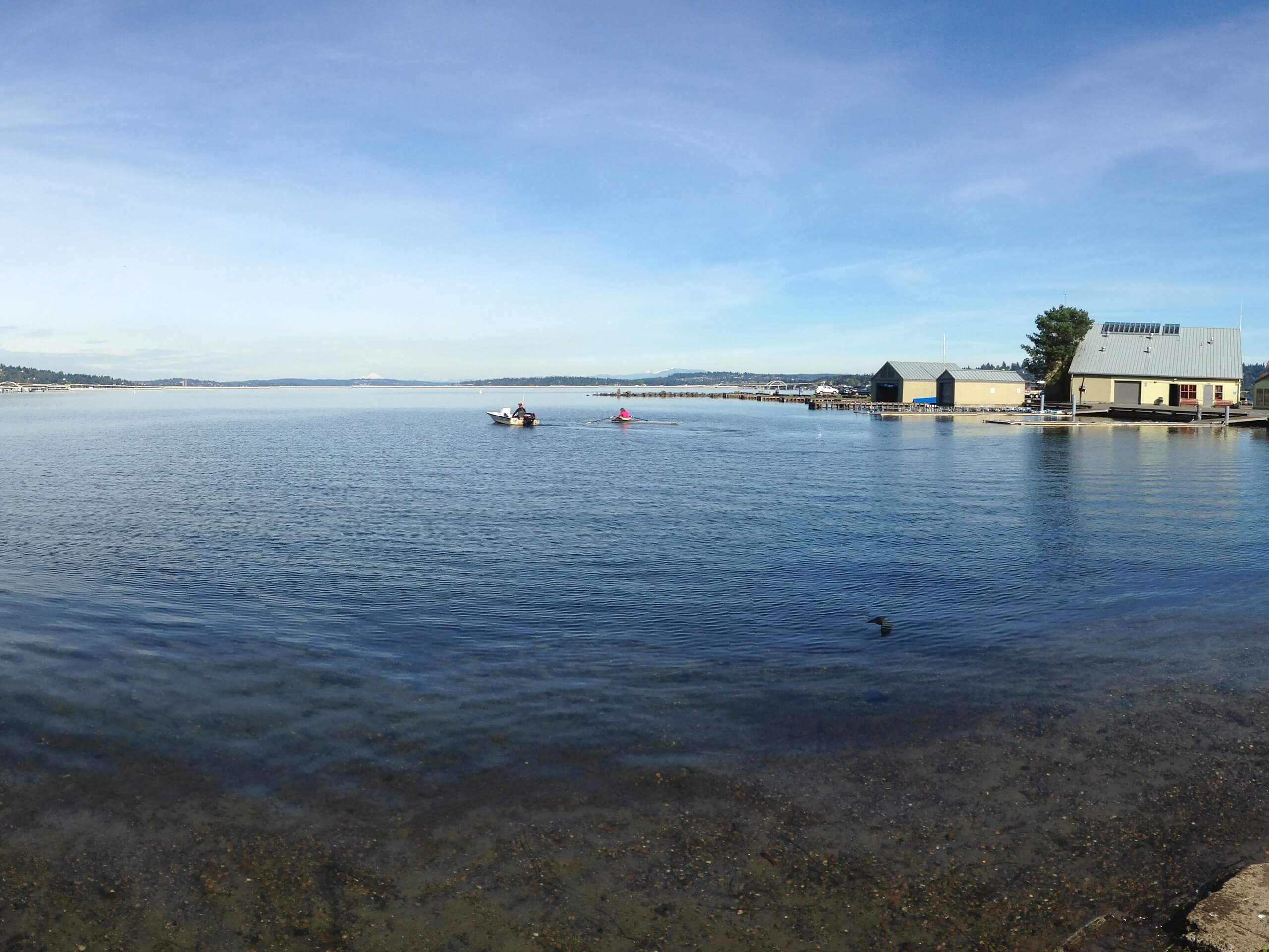 Seward Park Loop Trail