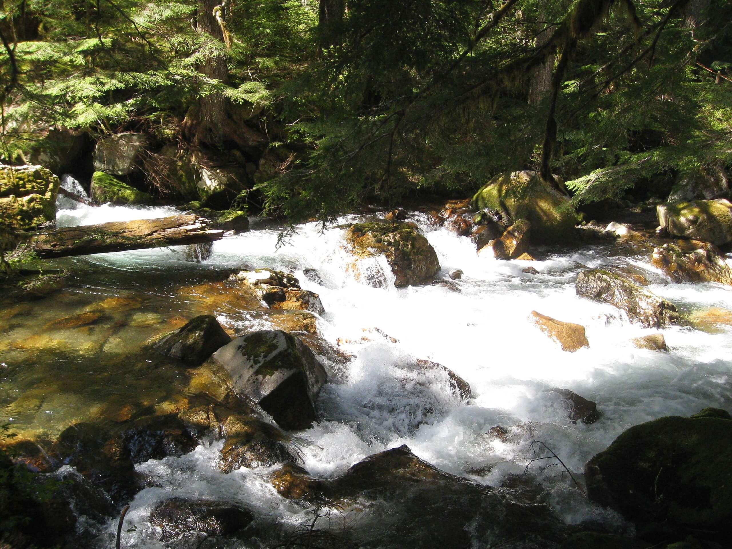 Elliot Creek Trail