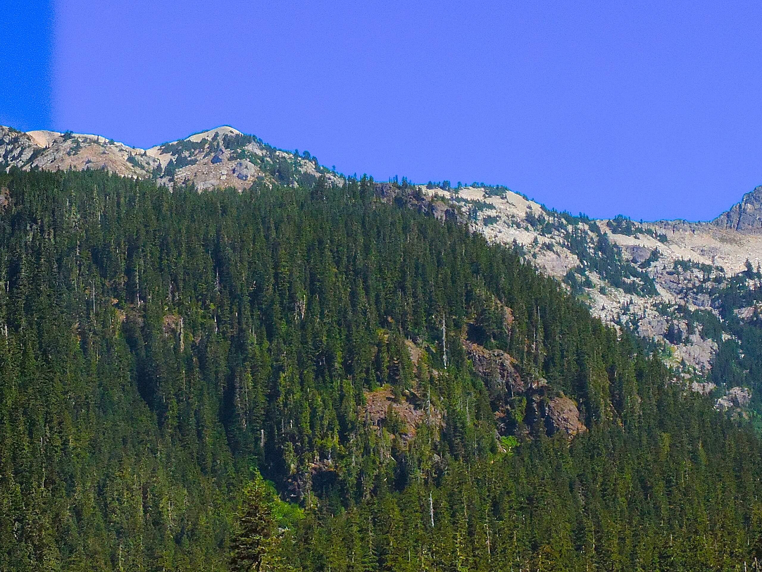 Lundin Peak View and Red Mountain via Old Commonwealth Trail