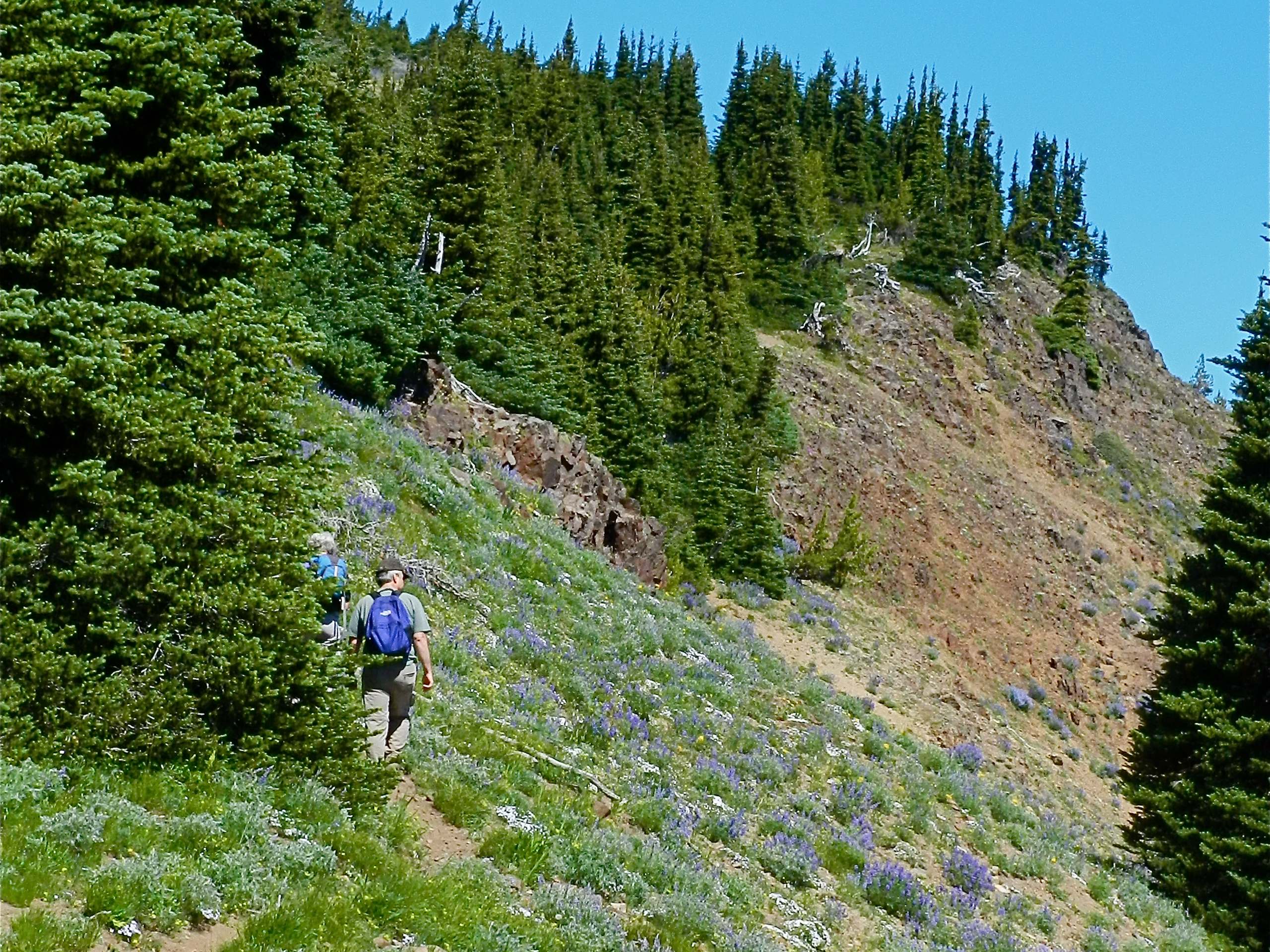 Norse Peak Trail Map