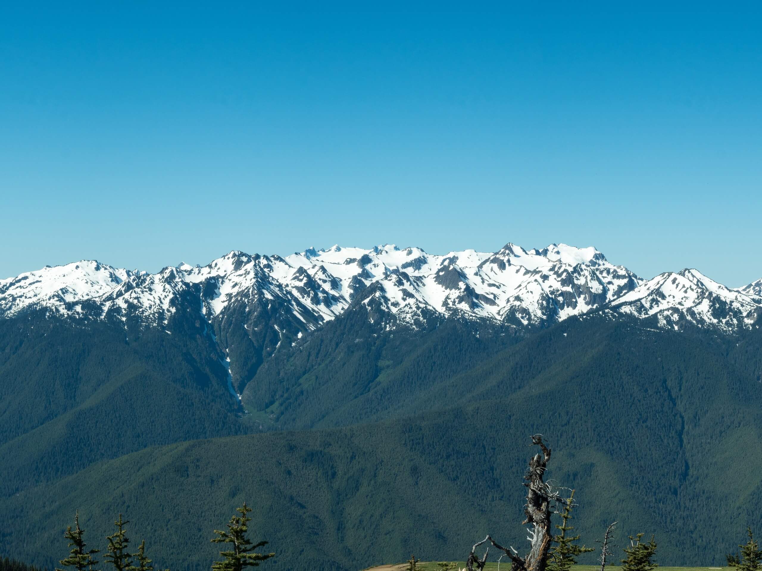 Hurricane Hill via Hurricane Ridge