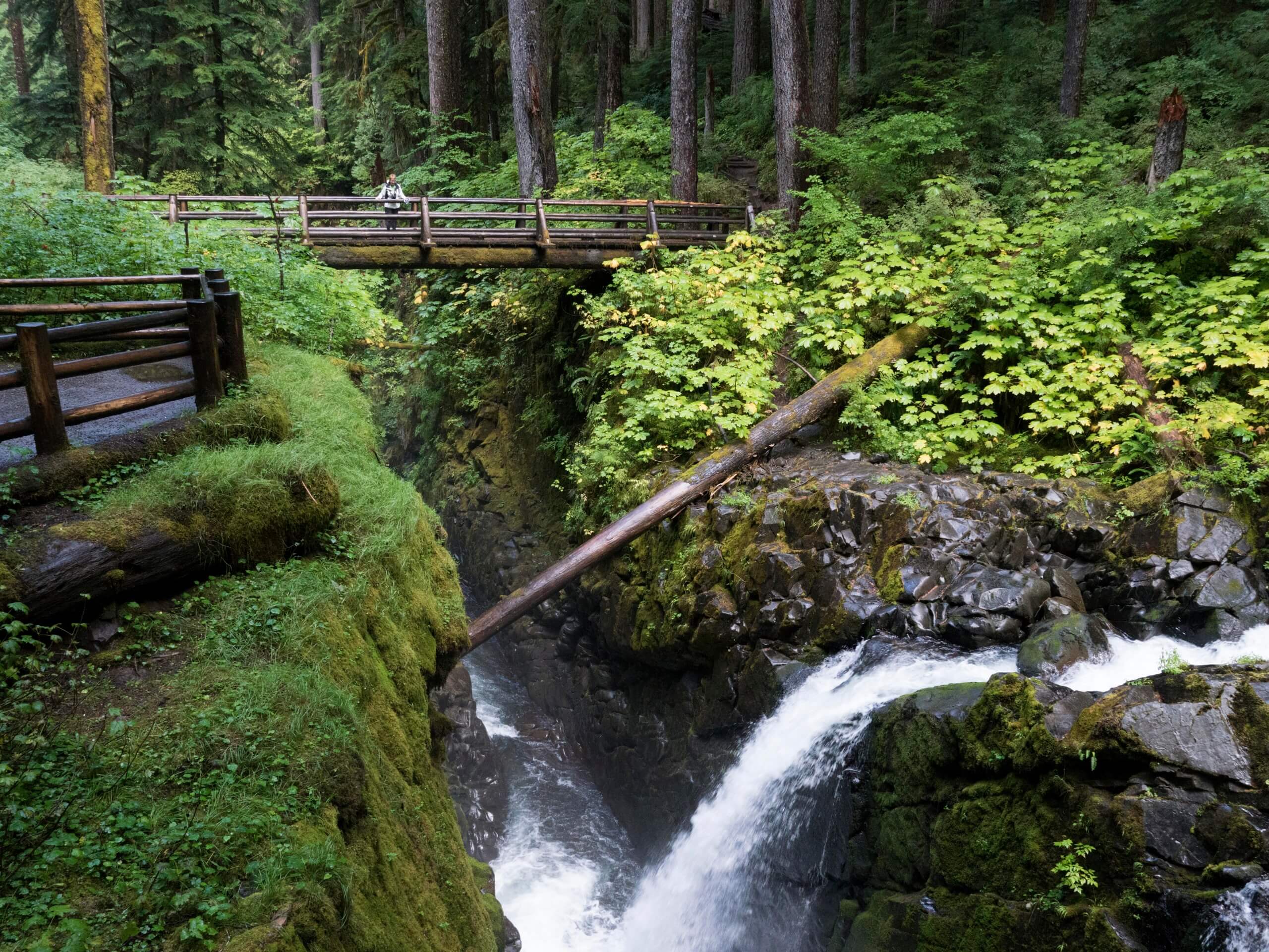 Sol Duc Falls Trail