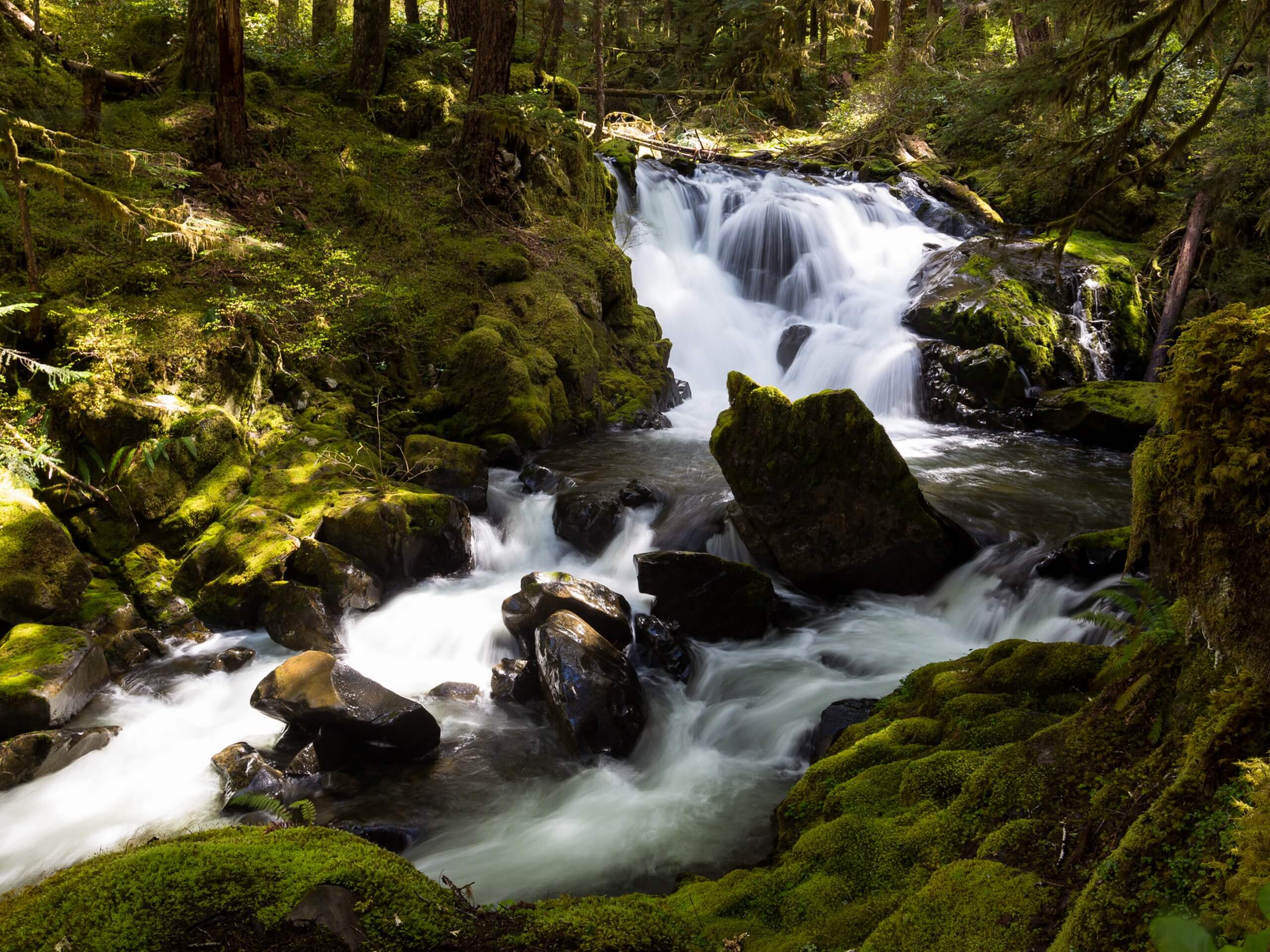 Appleton Pass via Sol Duc Falls