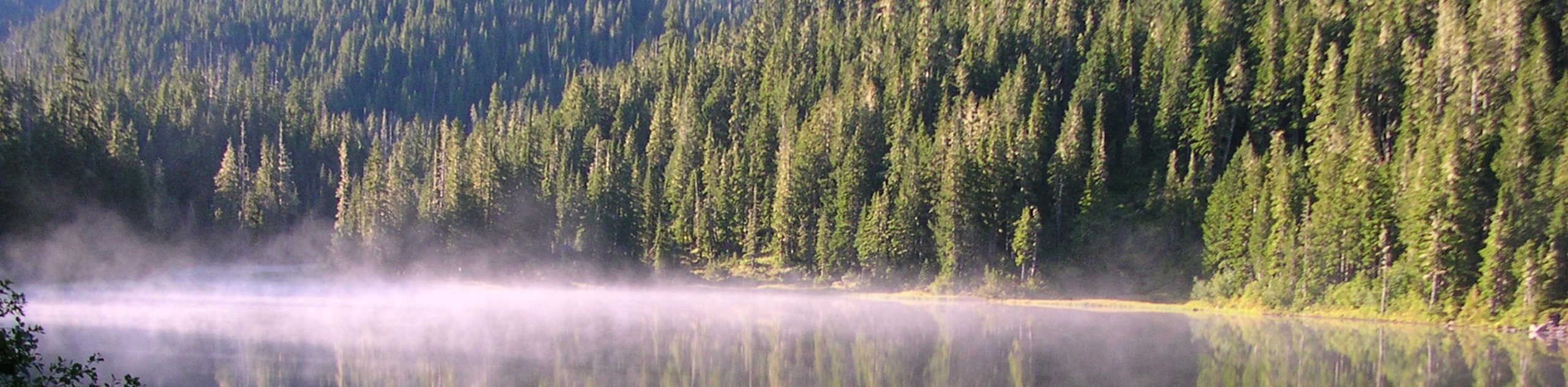 Deer Lake Trail