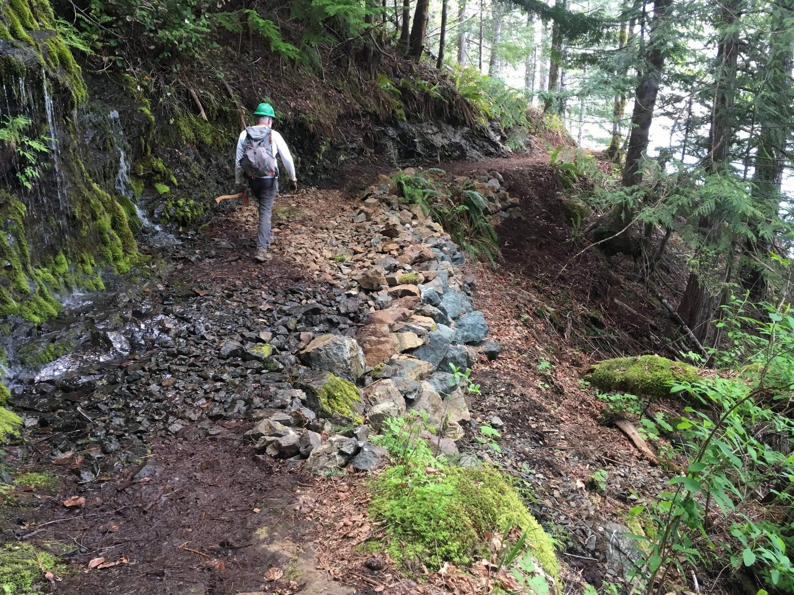 Dry Creek Trail Guide - Olympic National Forest Hiking