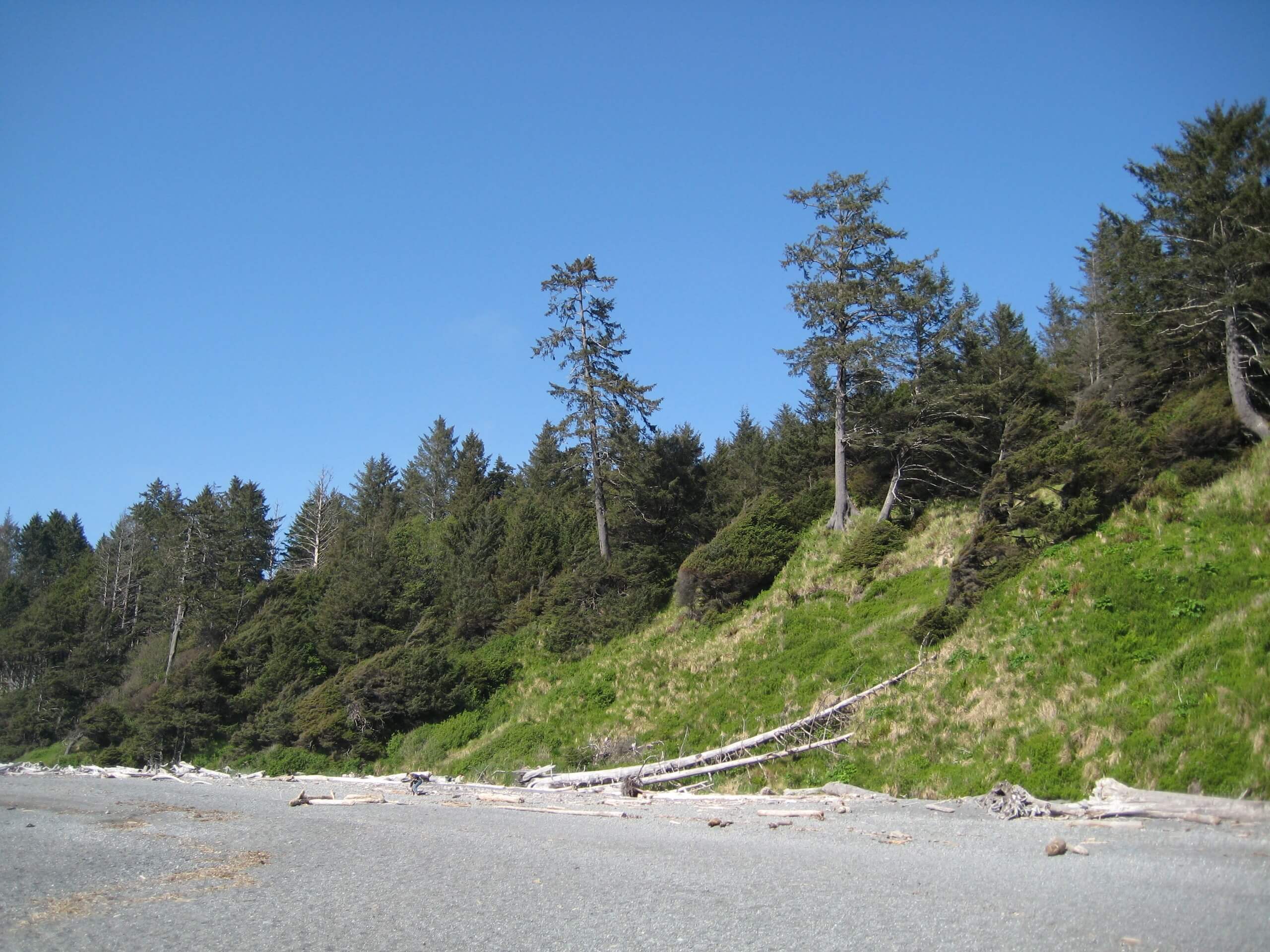 Kalaloch to Browns Point Trail