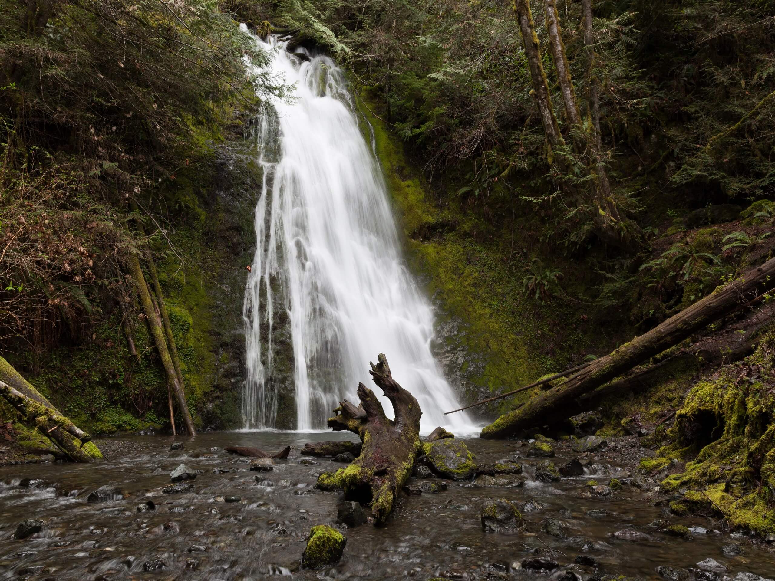 Madison Falls Trail