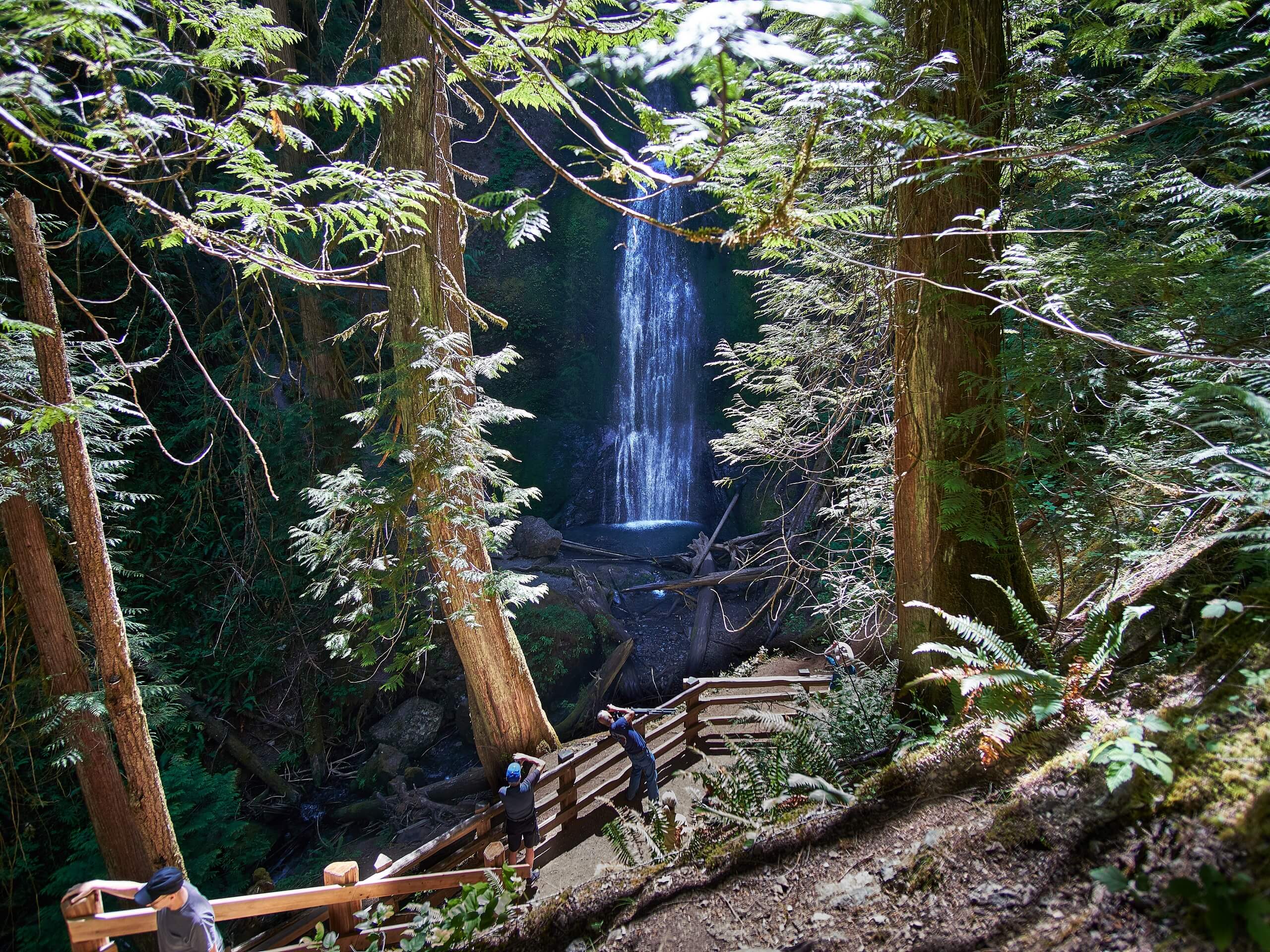 Marymere Falls Trail from Lake Crescent Lodge