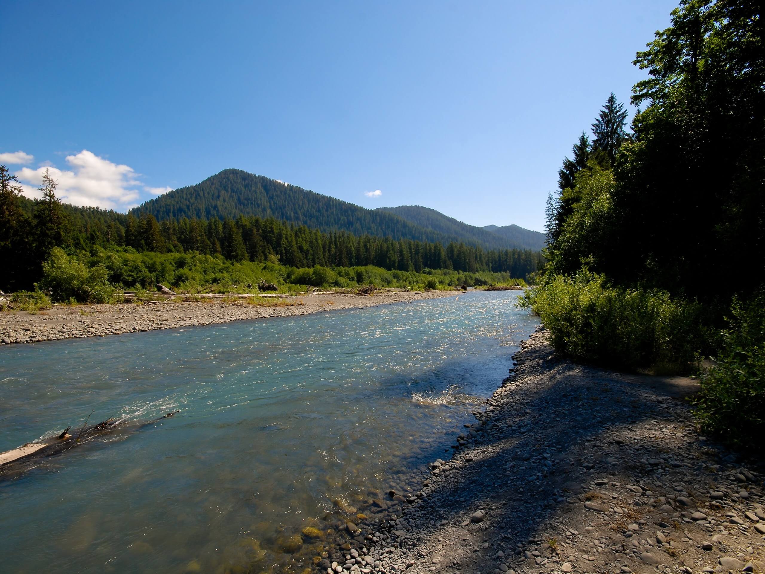 Spruce Nature Trail