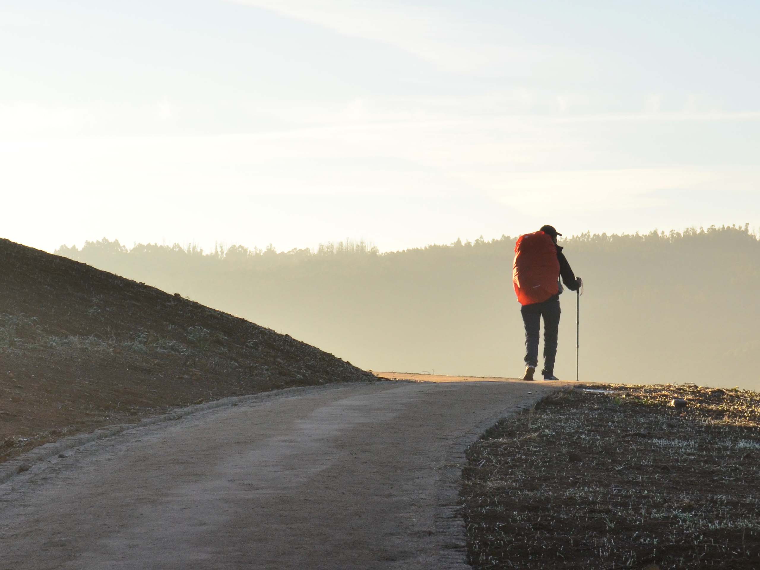 What Camino route should I take