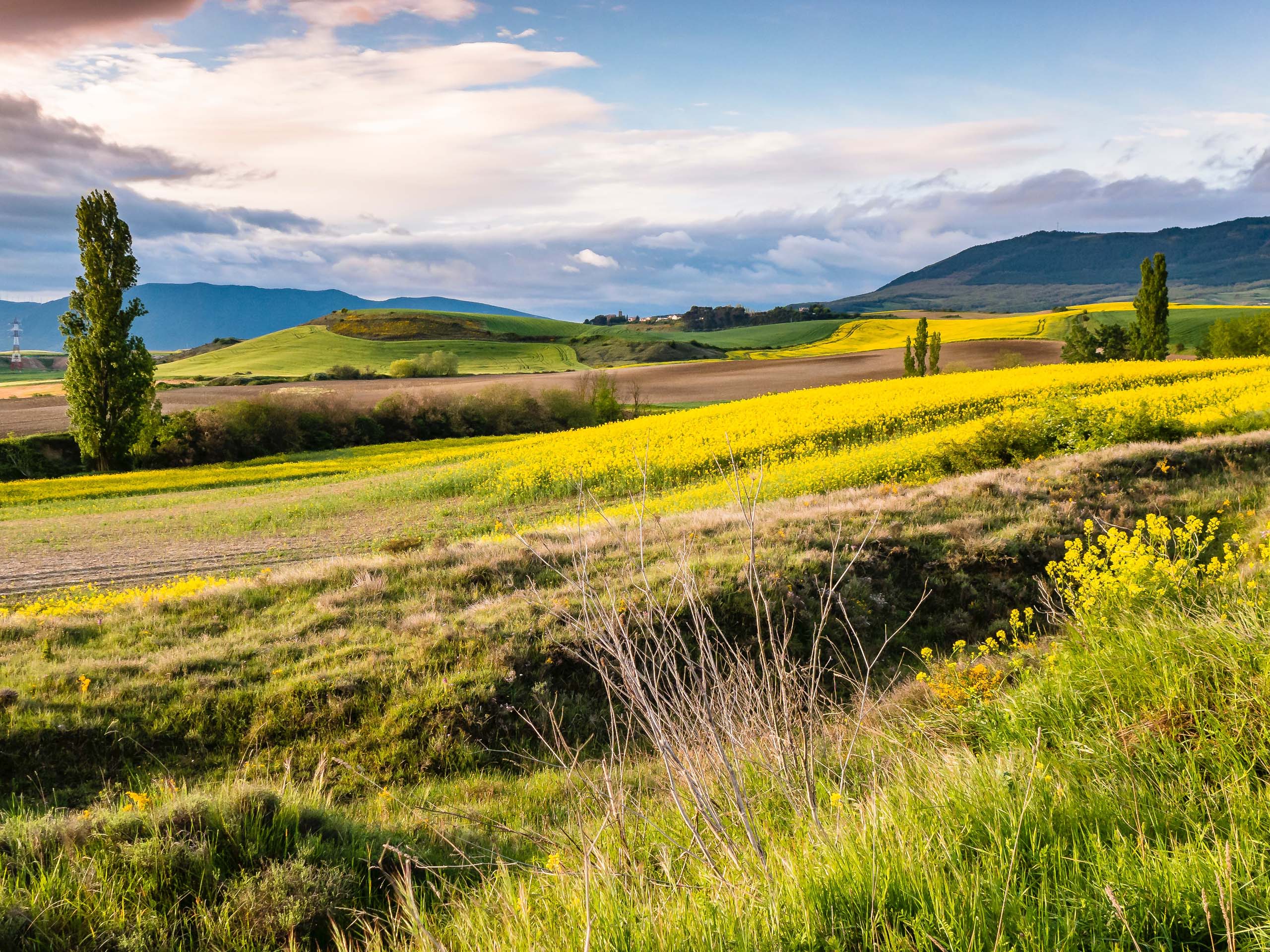 When should I walk the Camino de Santiago