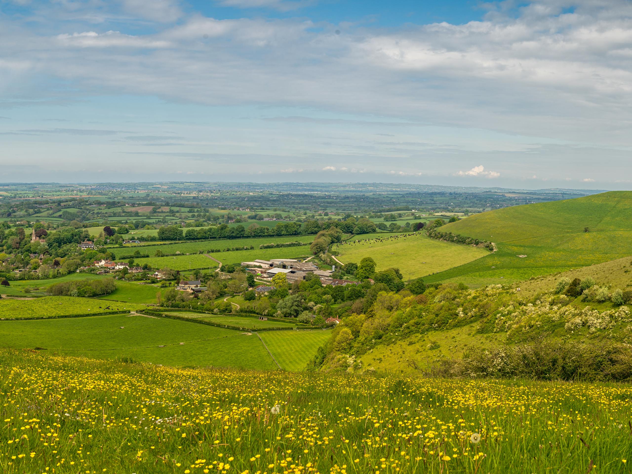 Melbury Downs Circular Walk