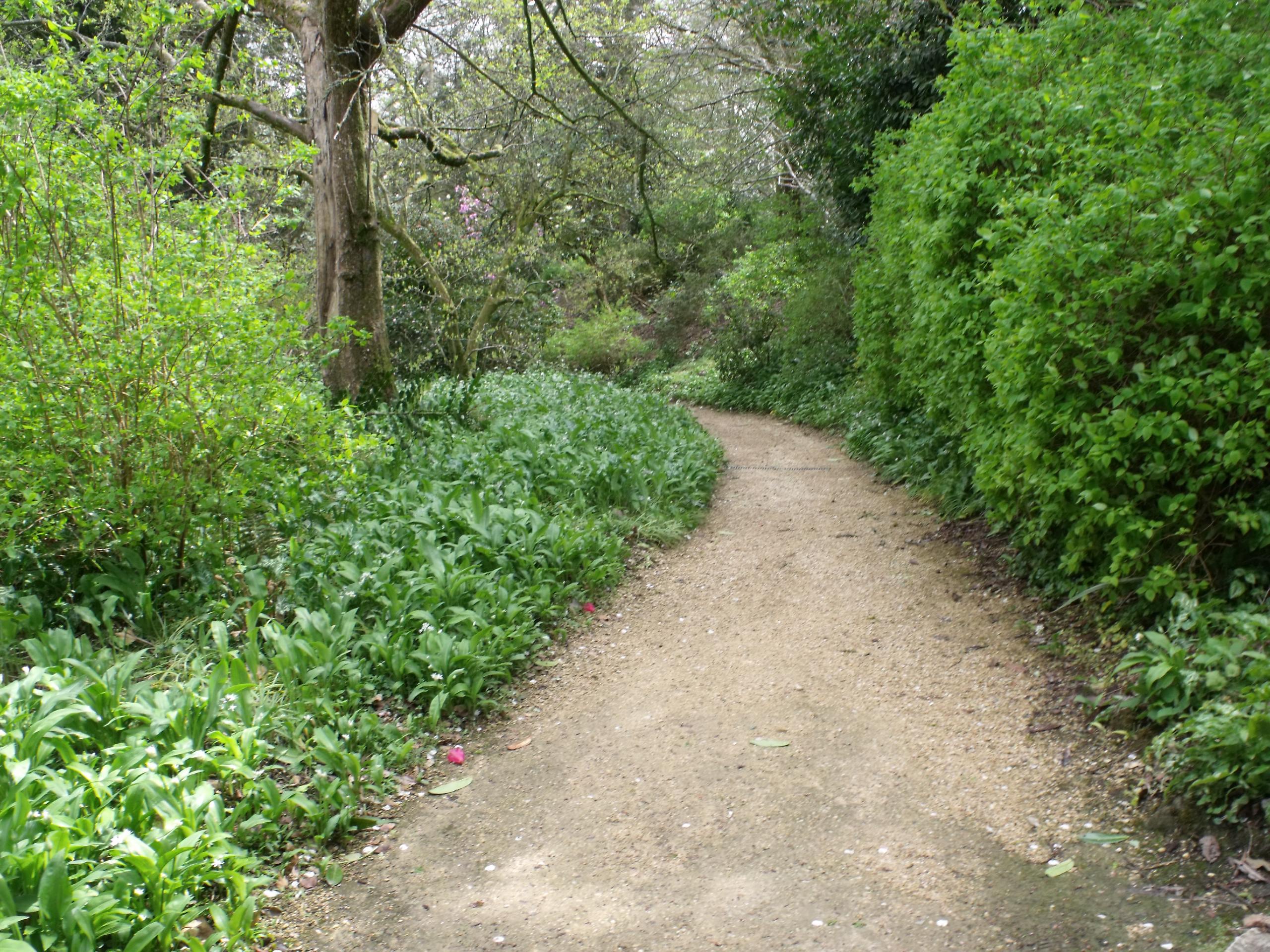 Minterne Magna Loop