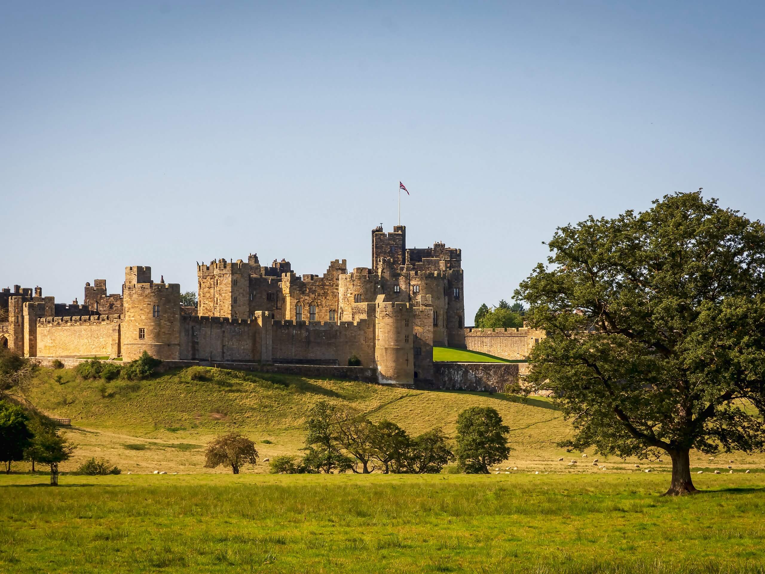 Alnwick Castle and Gardens Walk