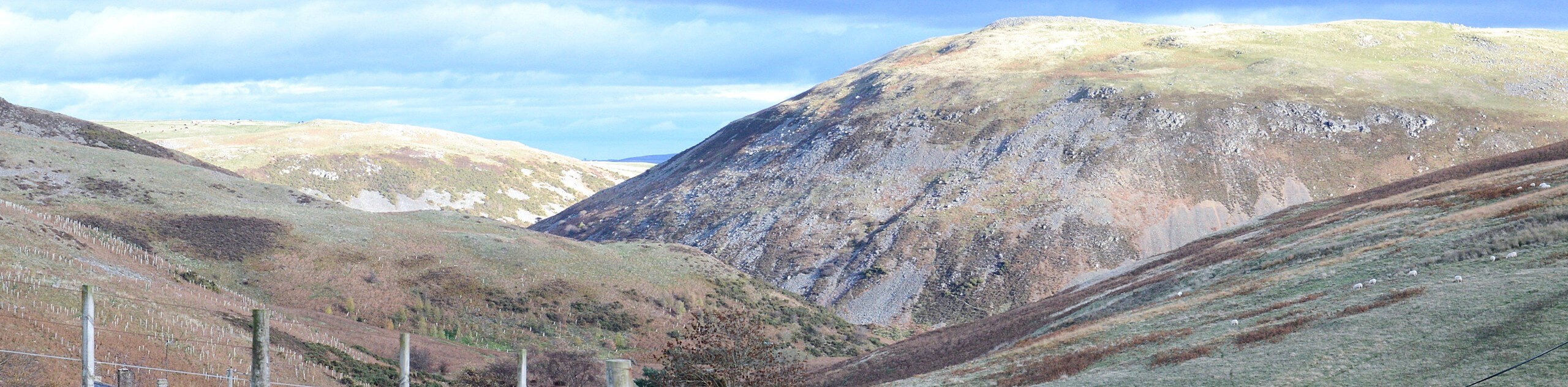 Cairn Hill, The Cheviot, and Scald Hill Circular Walk