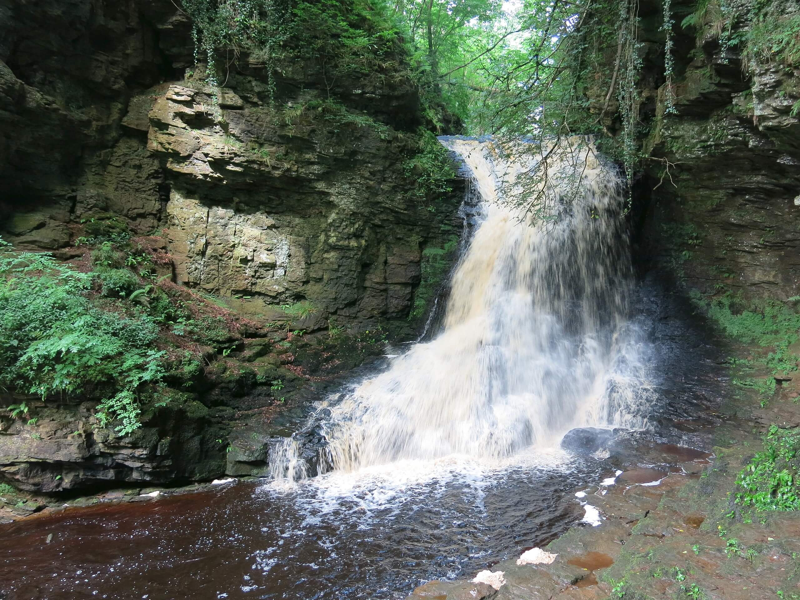 Hareshaw Linn Waterfall Walk