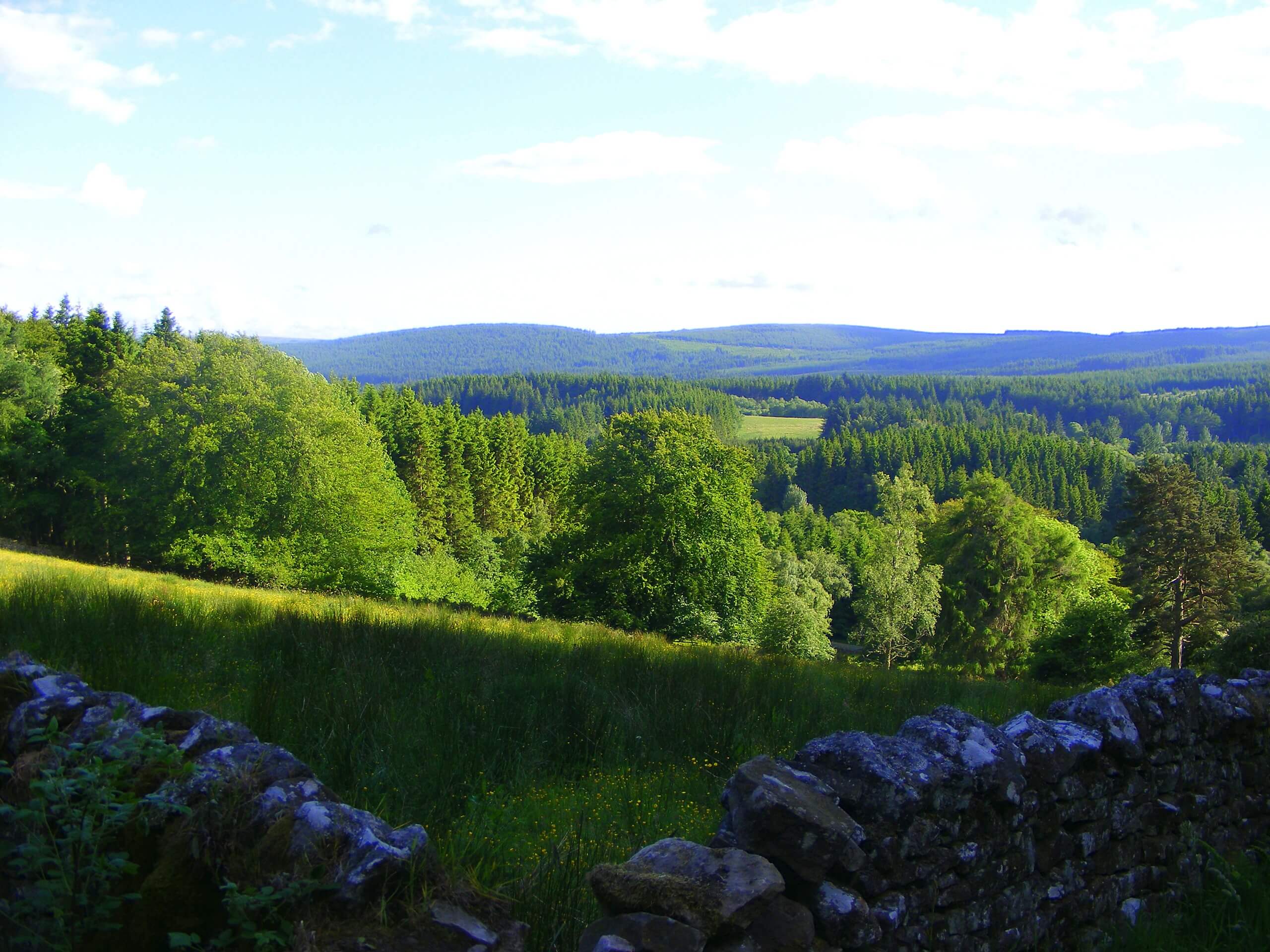 Kielder Forest Skyscape Walk