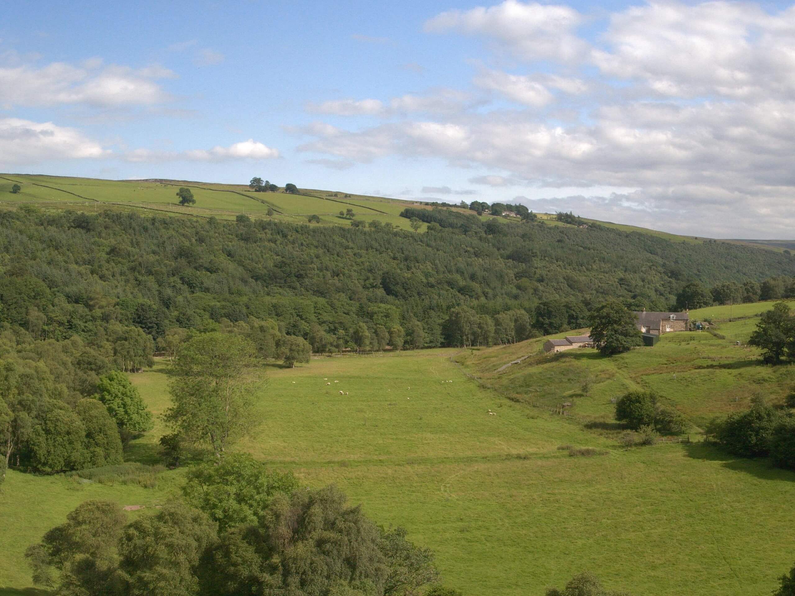 Lambley Viaduct and Featherstone Castle Walk