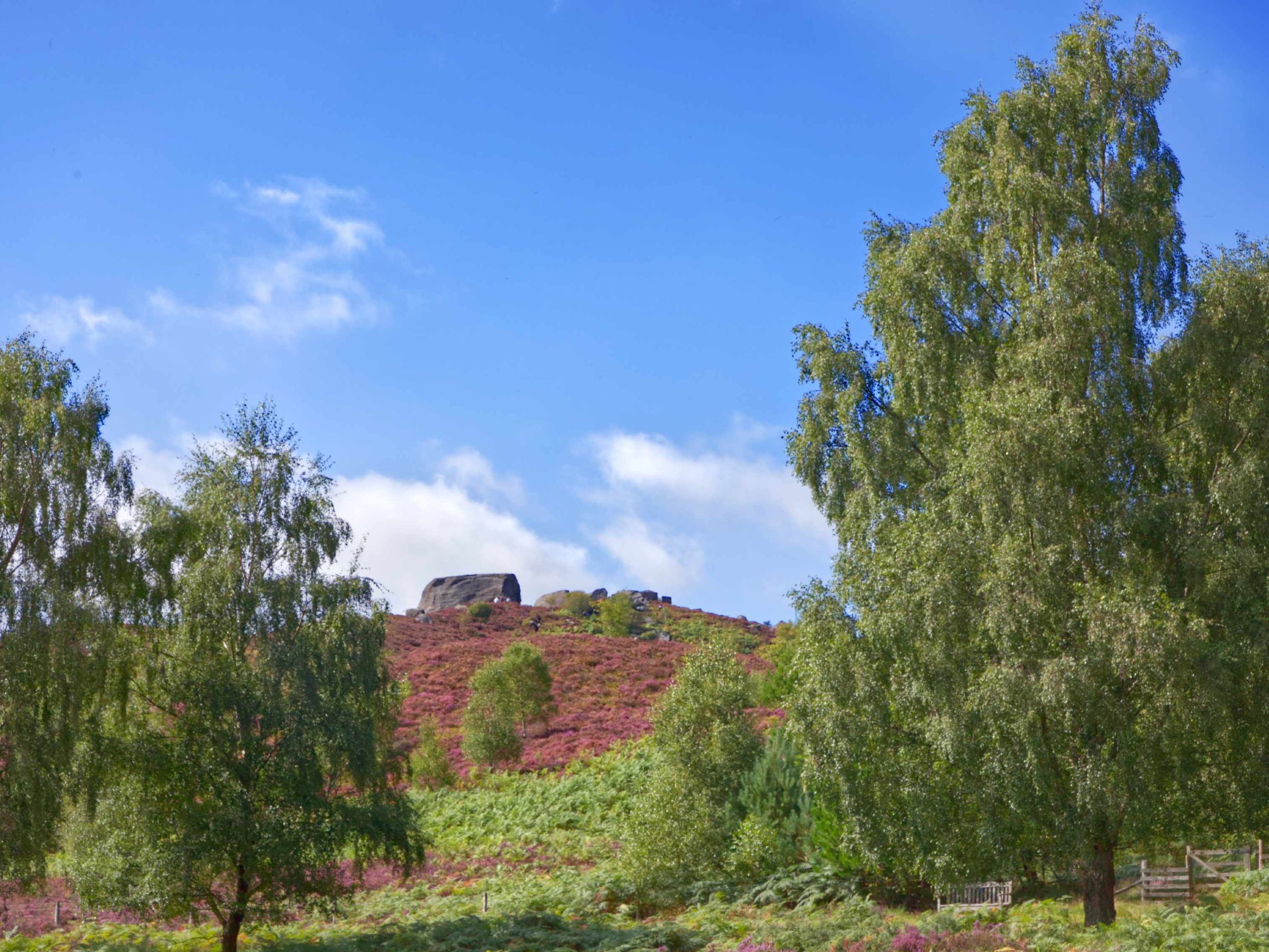 The Drake Stone and Harbottle Castle Circular Walk