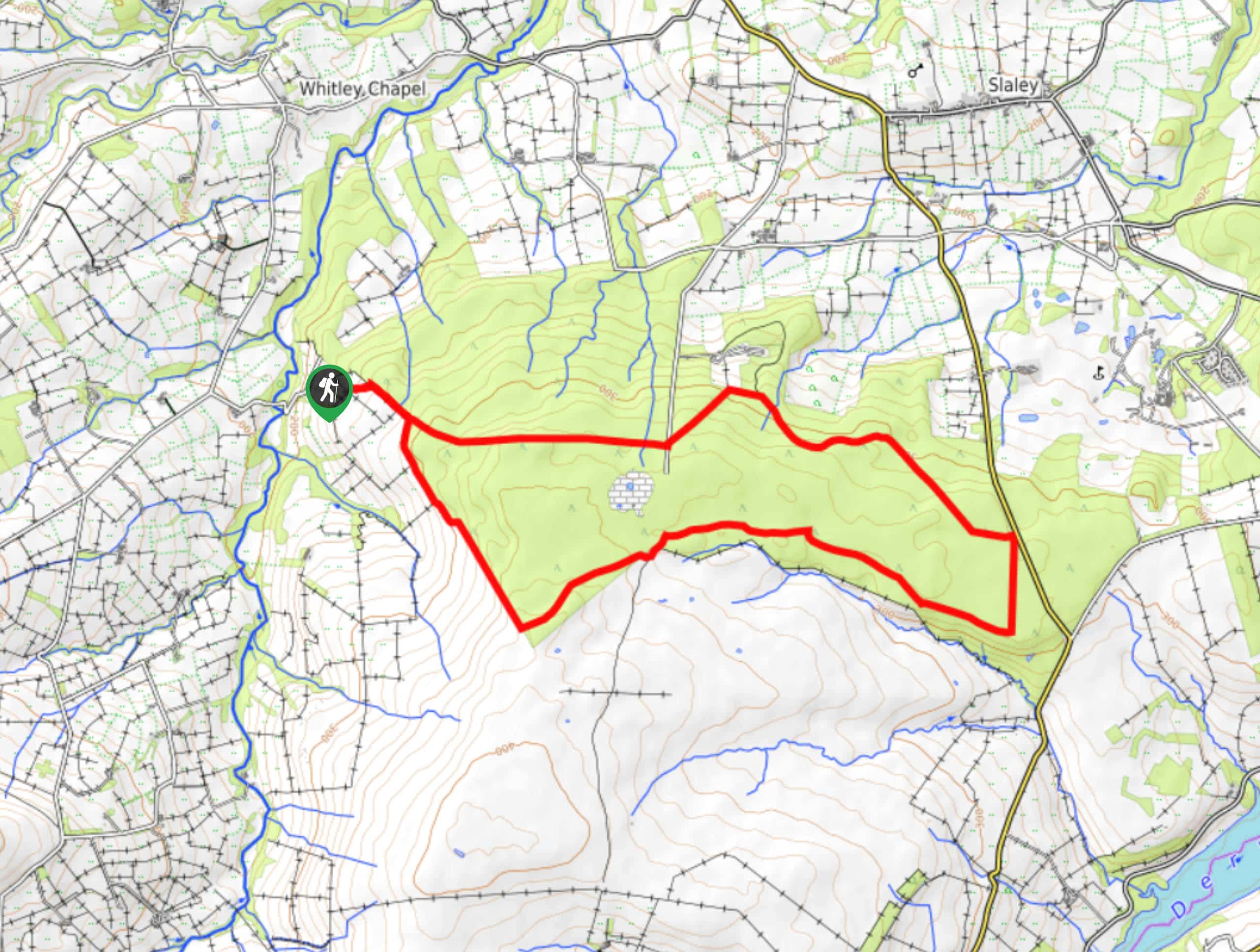 Slaley Forest Circular Walk Map