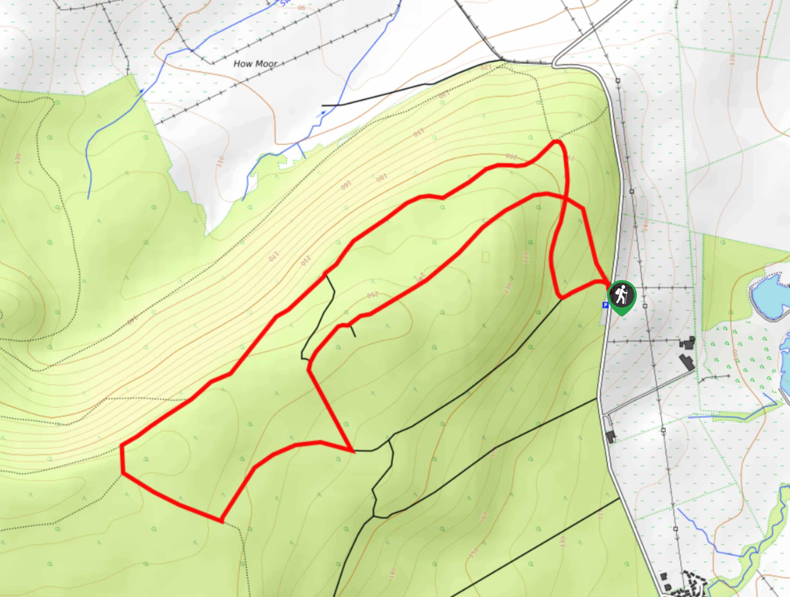 Thrunton Wood Walk Map
