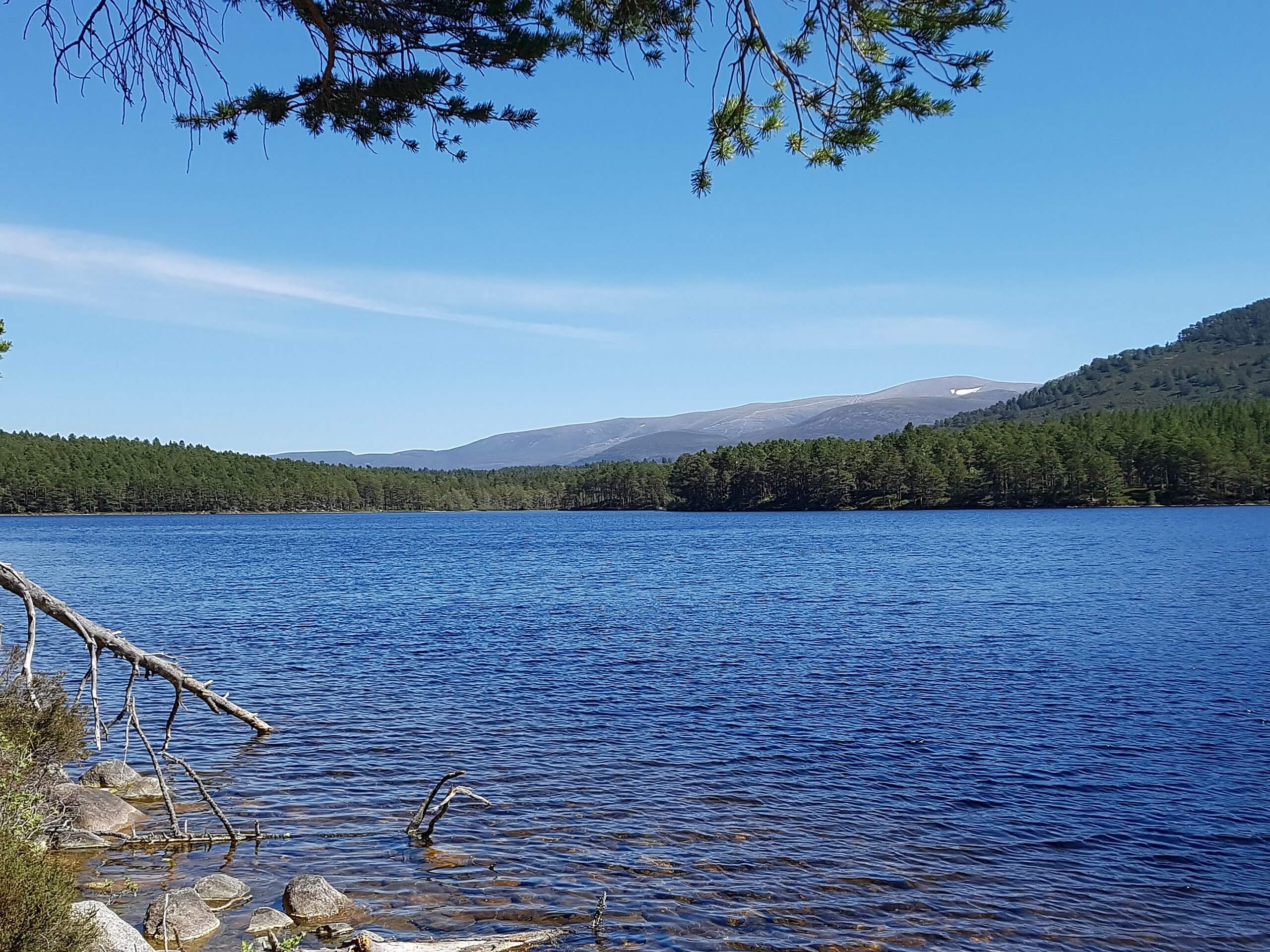 Loch An Eilein and Loch Morlich Walk