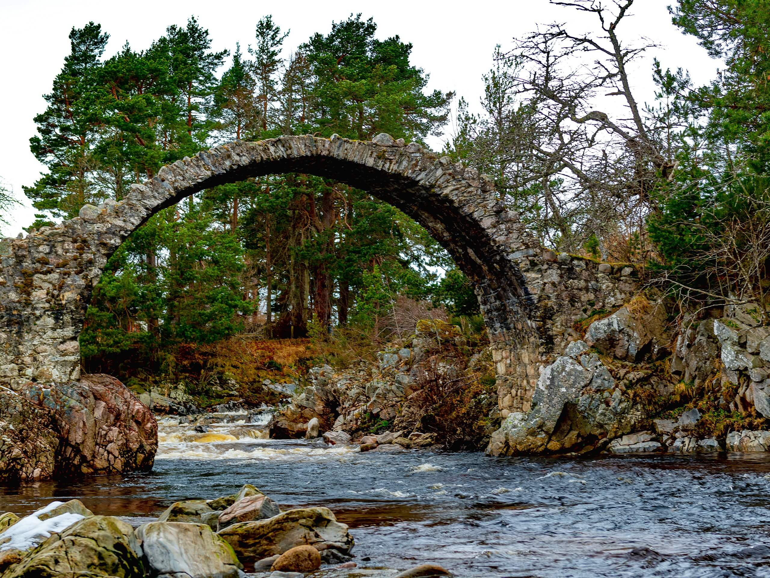 Nethy Bridge Circular Walk