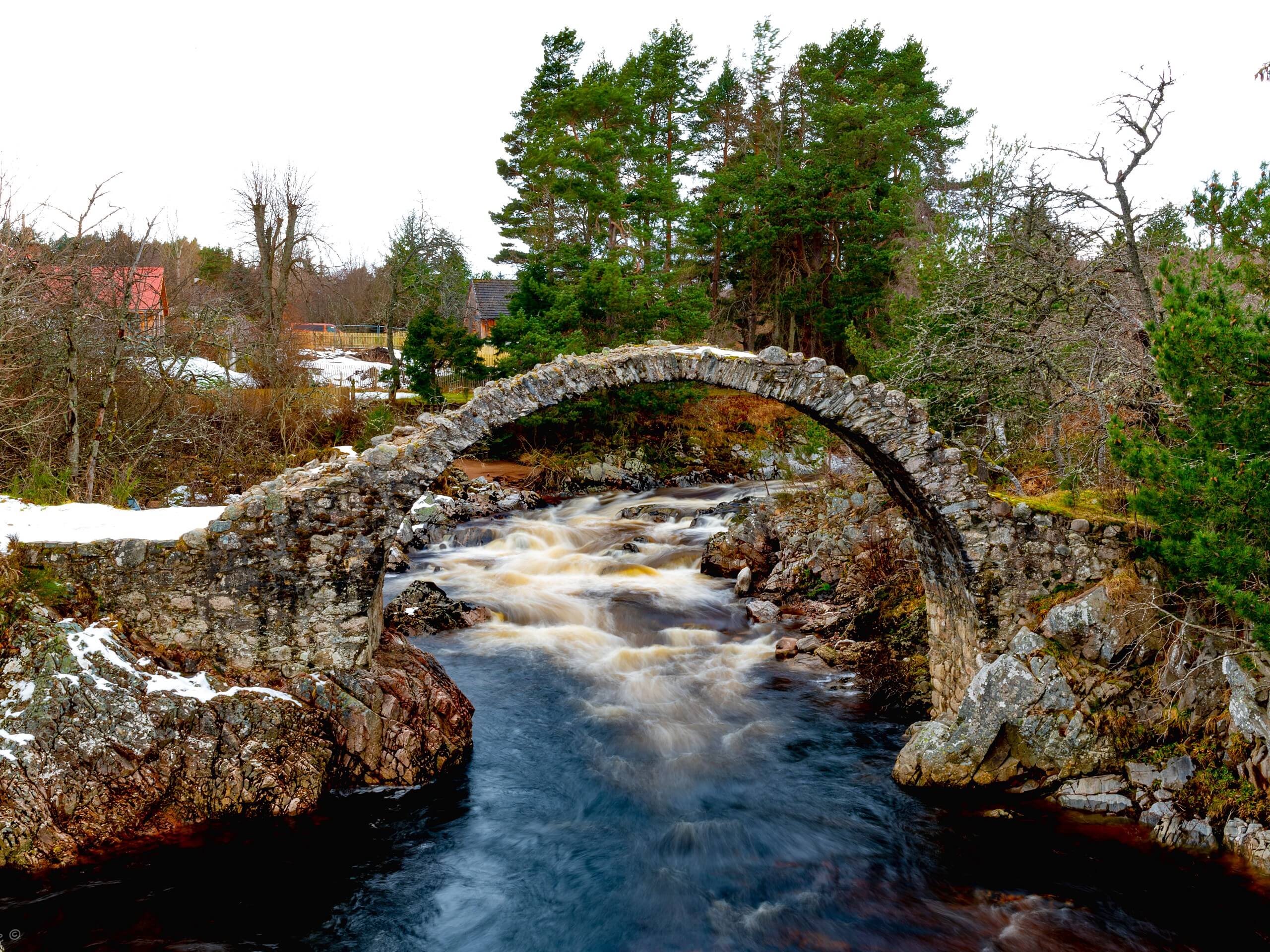 Nethy Bridge and Loch Garten Circular Walk