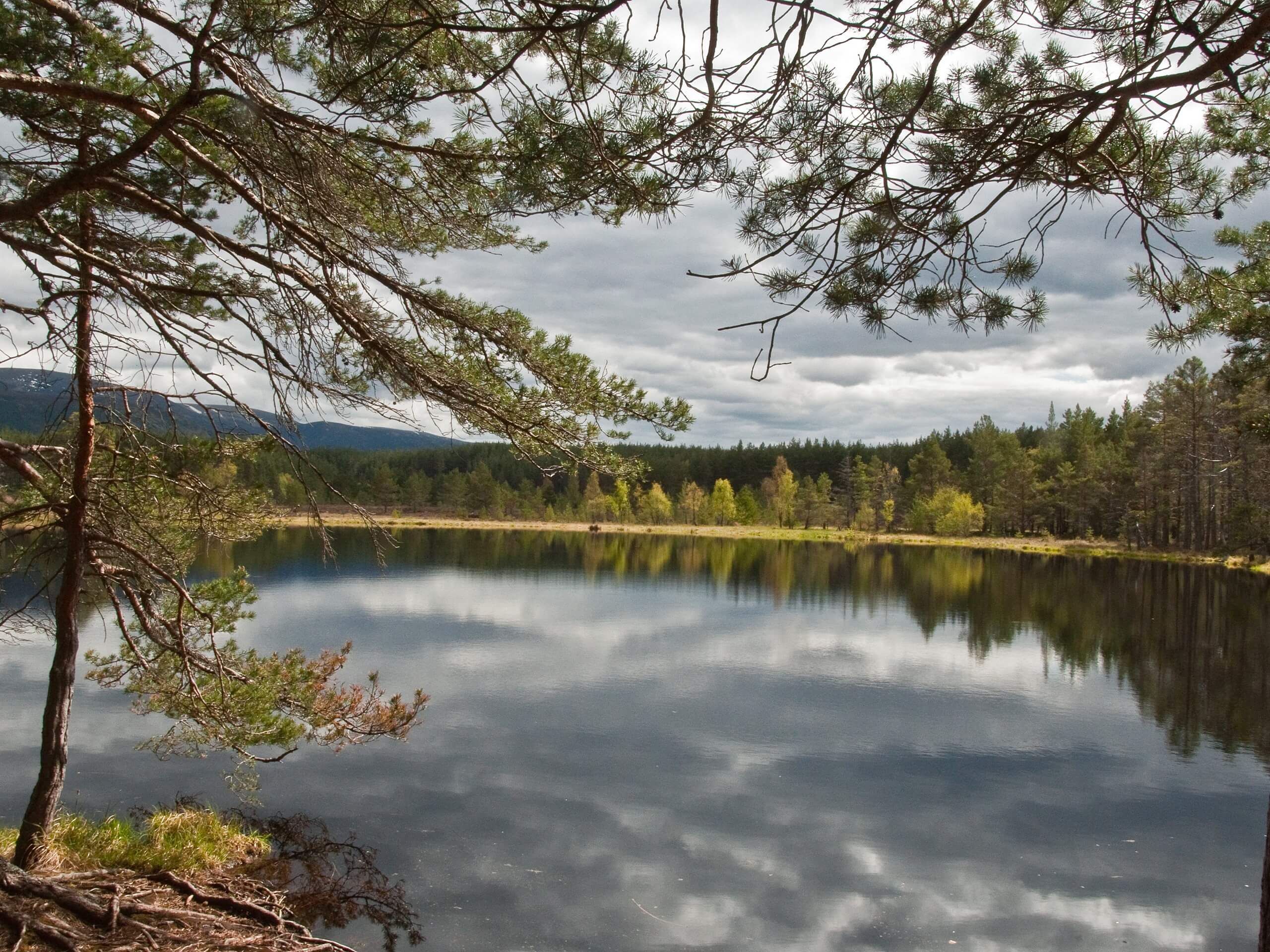 Uath Lochans Circular Walk