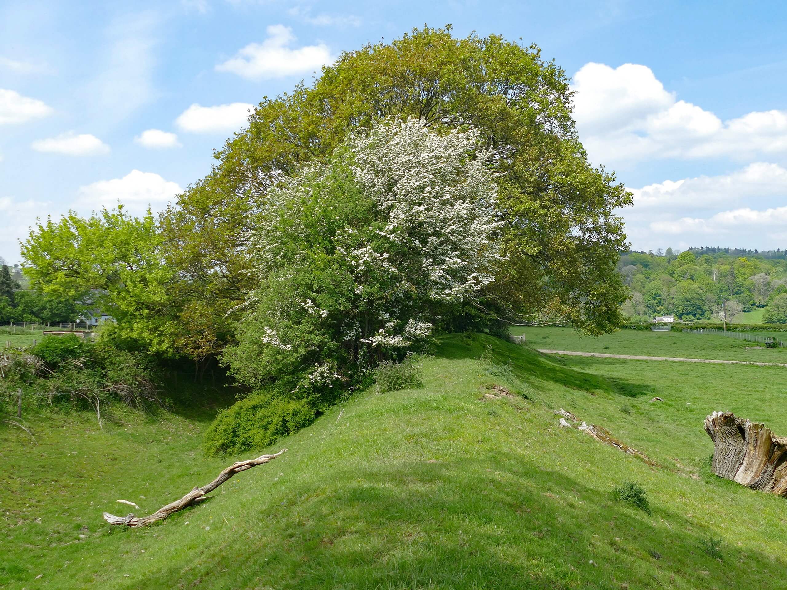 Offa’s Dyke Circular Walk