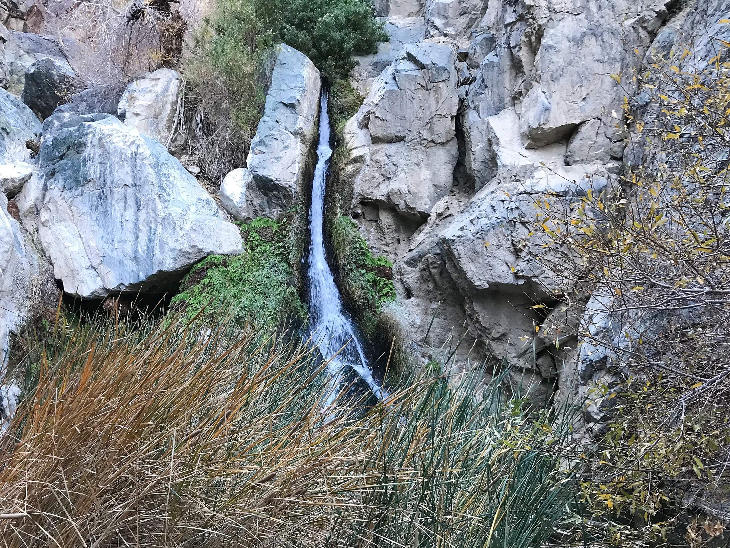 Darwin Falls Trail via Old Toll Road