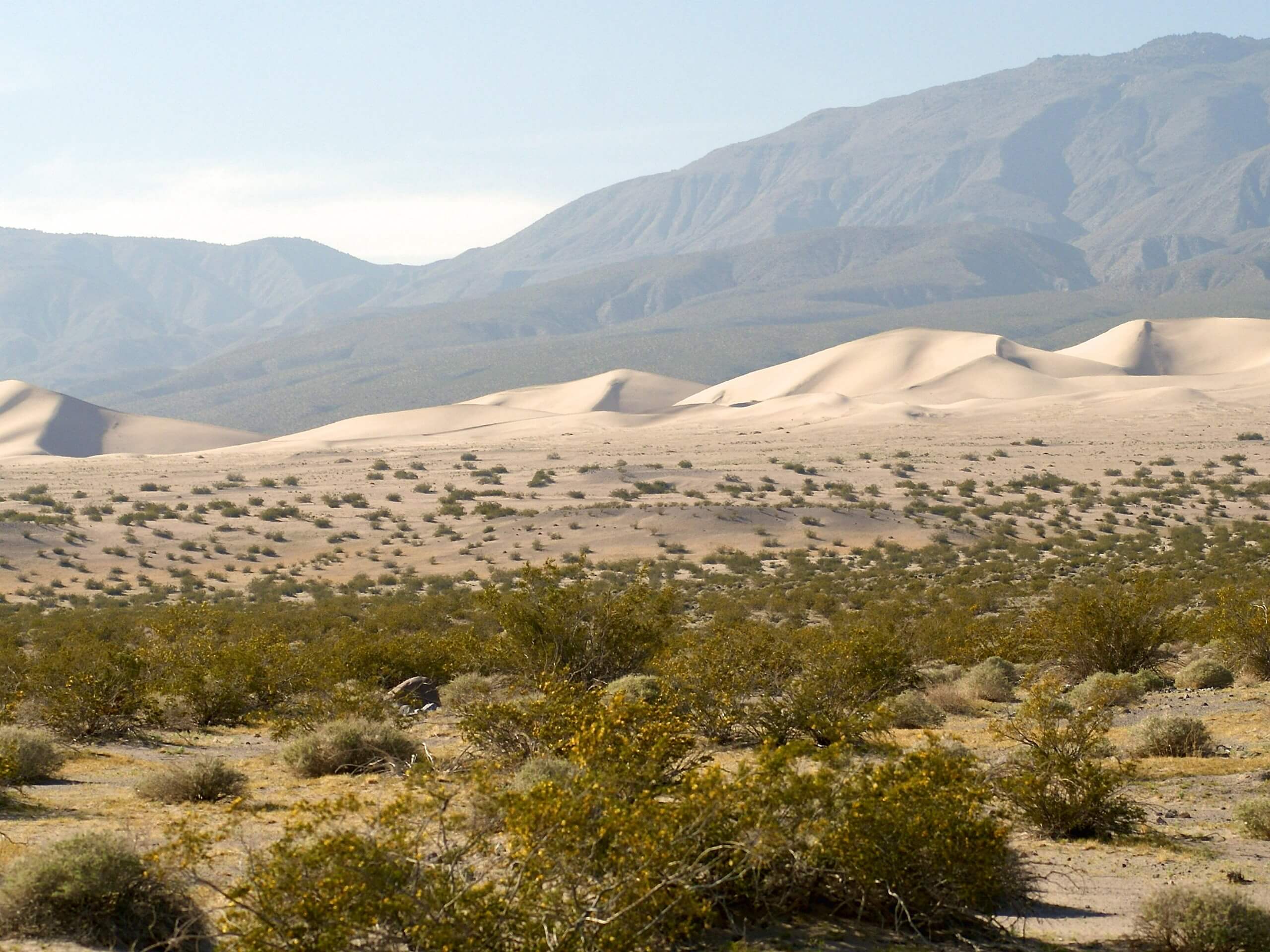 Panamint Dunes Trail