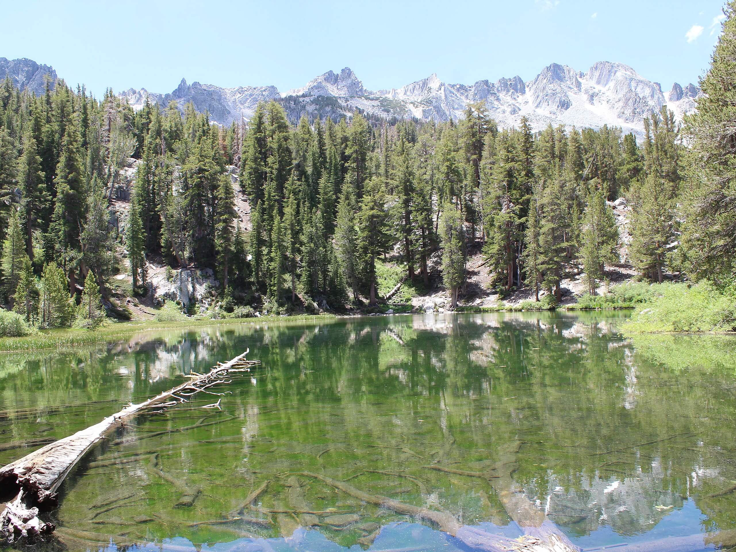 Emerald Lake Trail