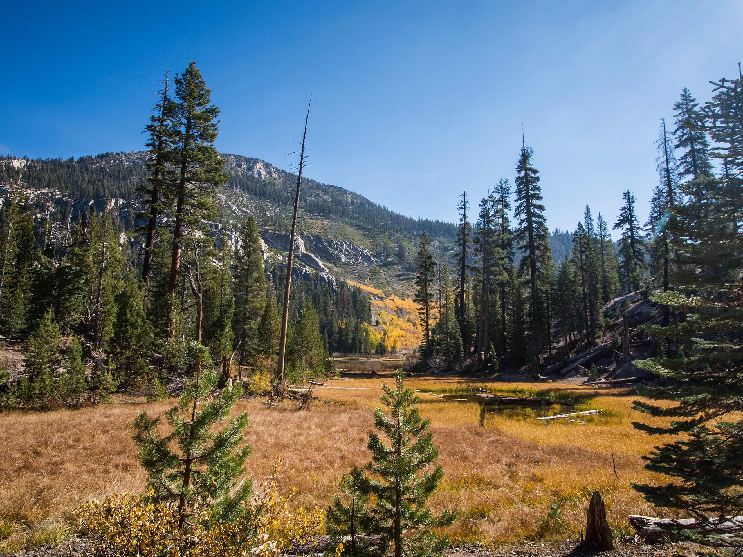 Sotcher Lake Trail