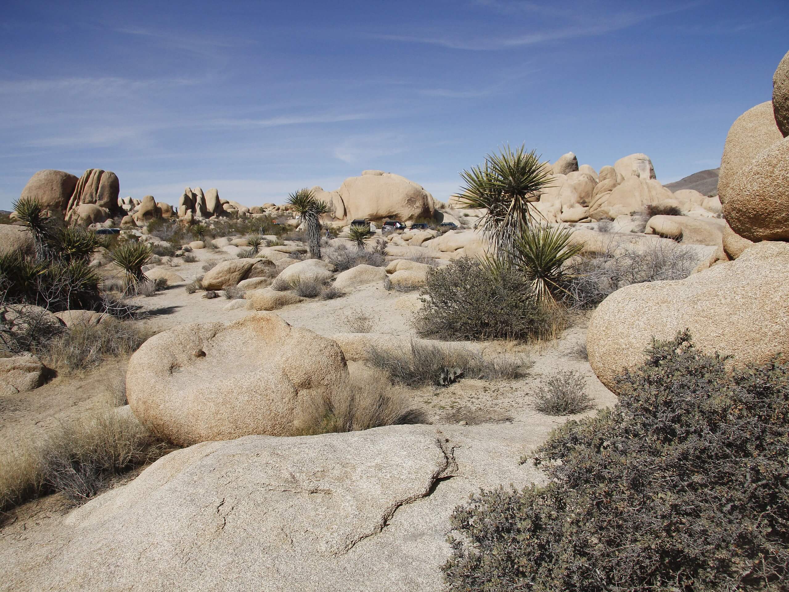 Arch Rock Nature Trail