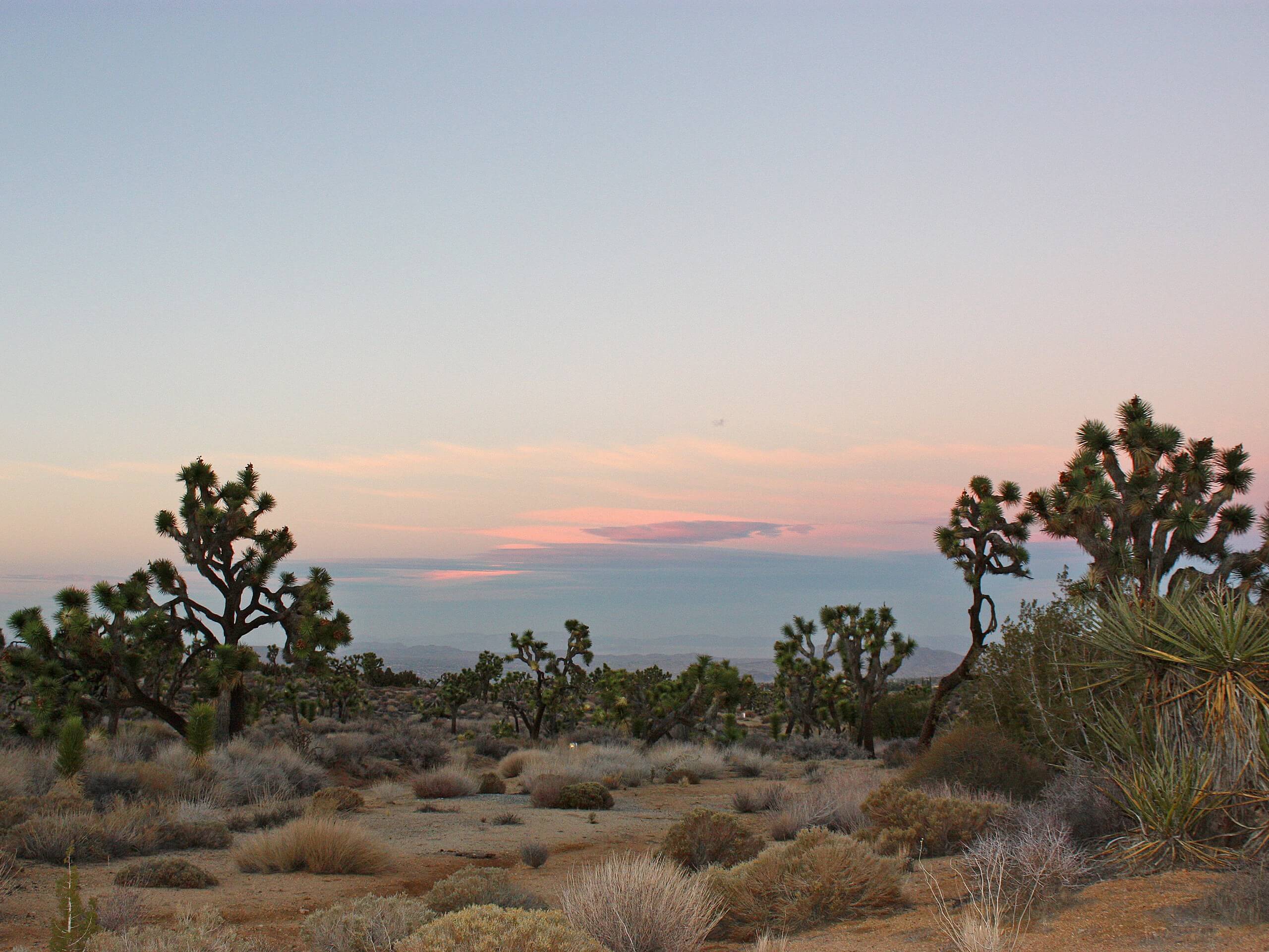 Black Rock Canyon to Panorama Loop Trail