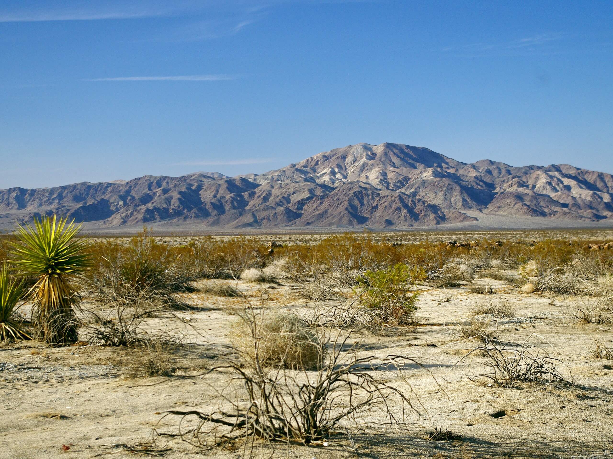 Keys View Road to Pinto Basin Road Trail