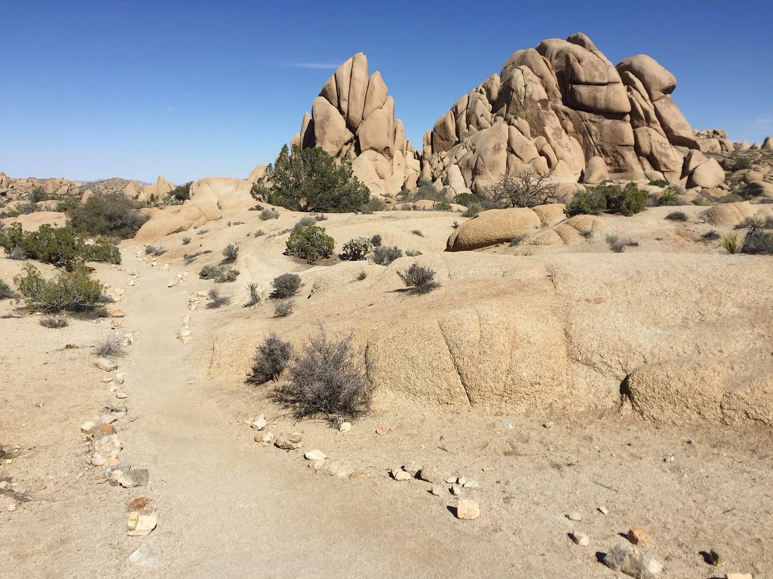 Skull Rock Nature Trail