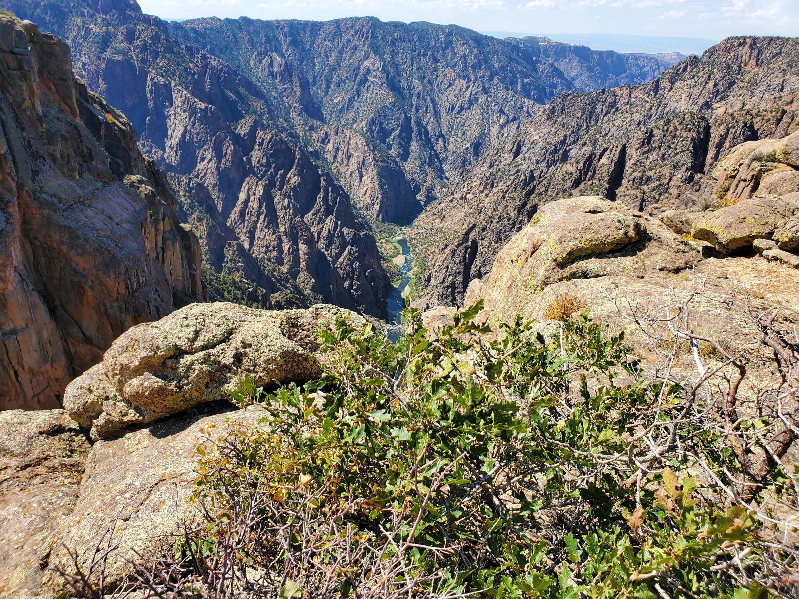 Dragon Point Trail