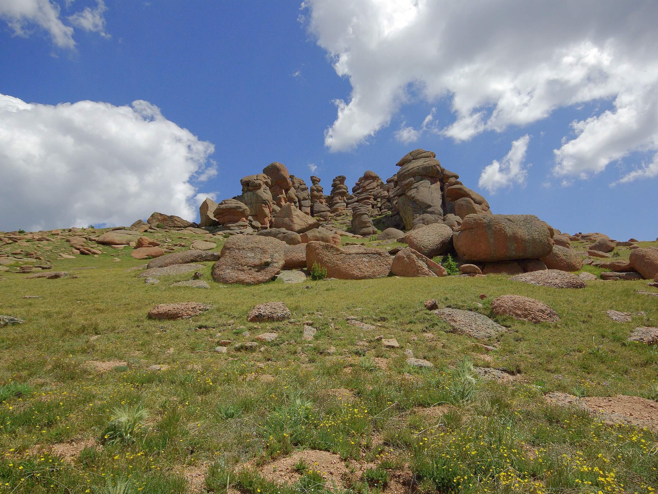 Bison Peak Summit