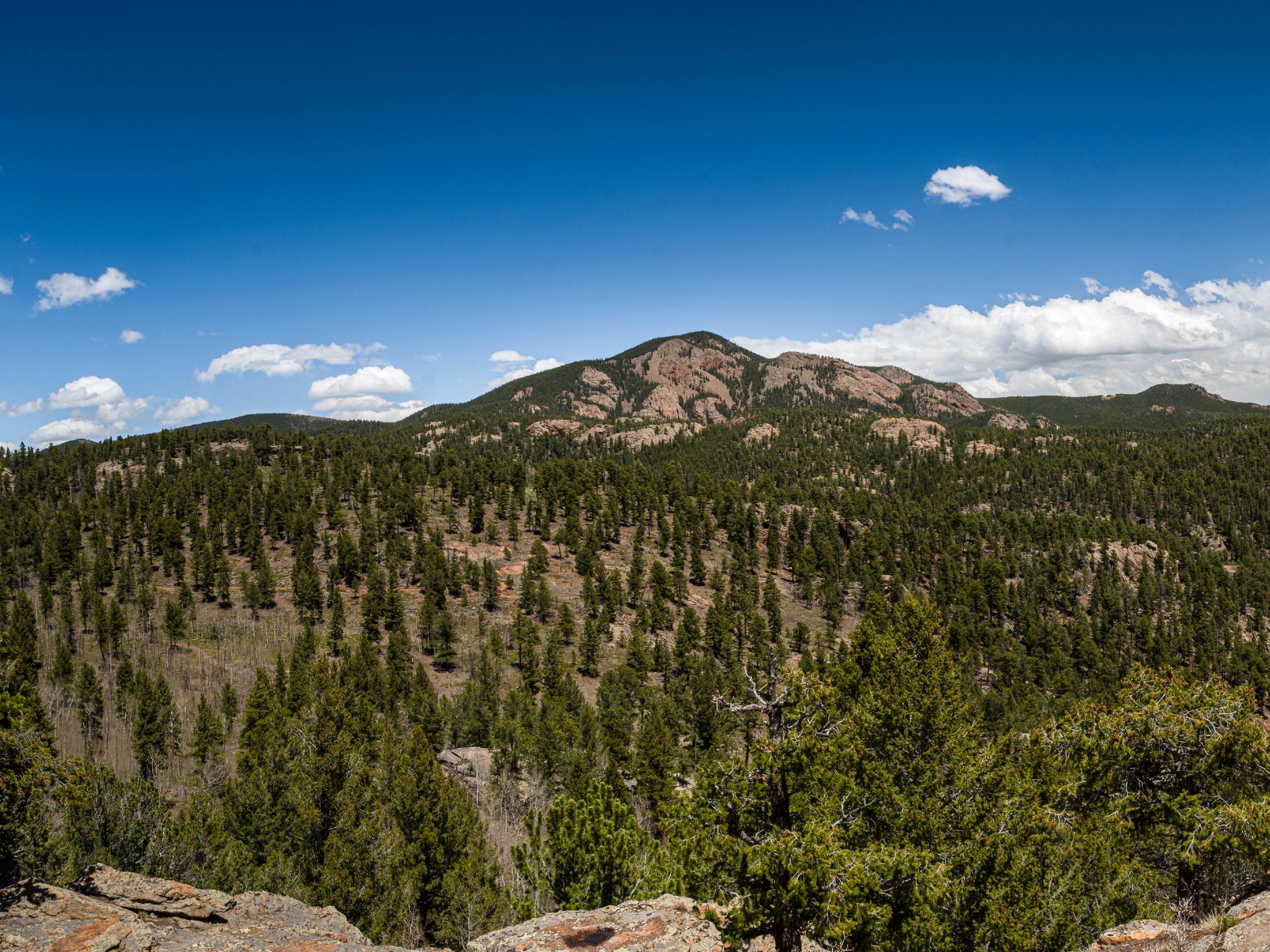 Elk Falls Hike